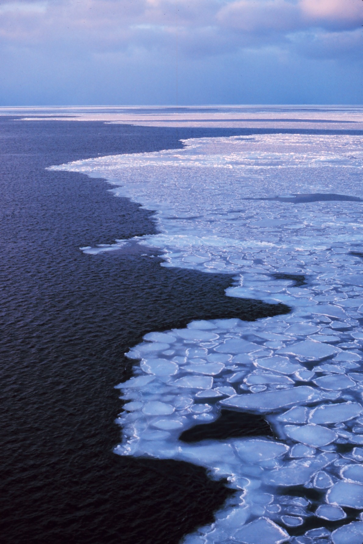 Pancake ice adrift on the Ross Sea