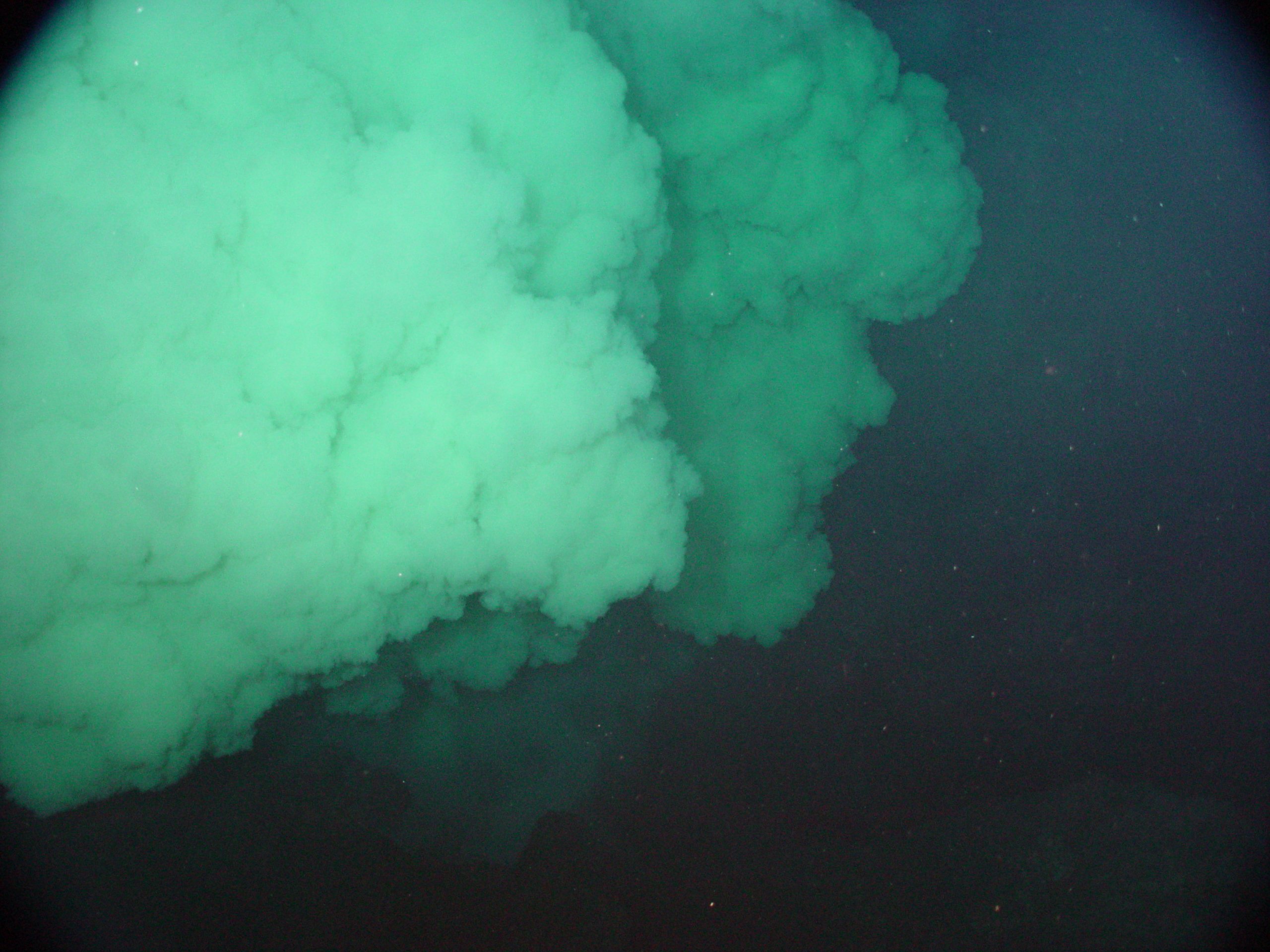 Pacific Ring of Fire Expedition