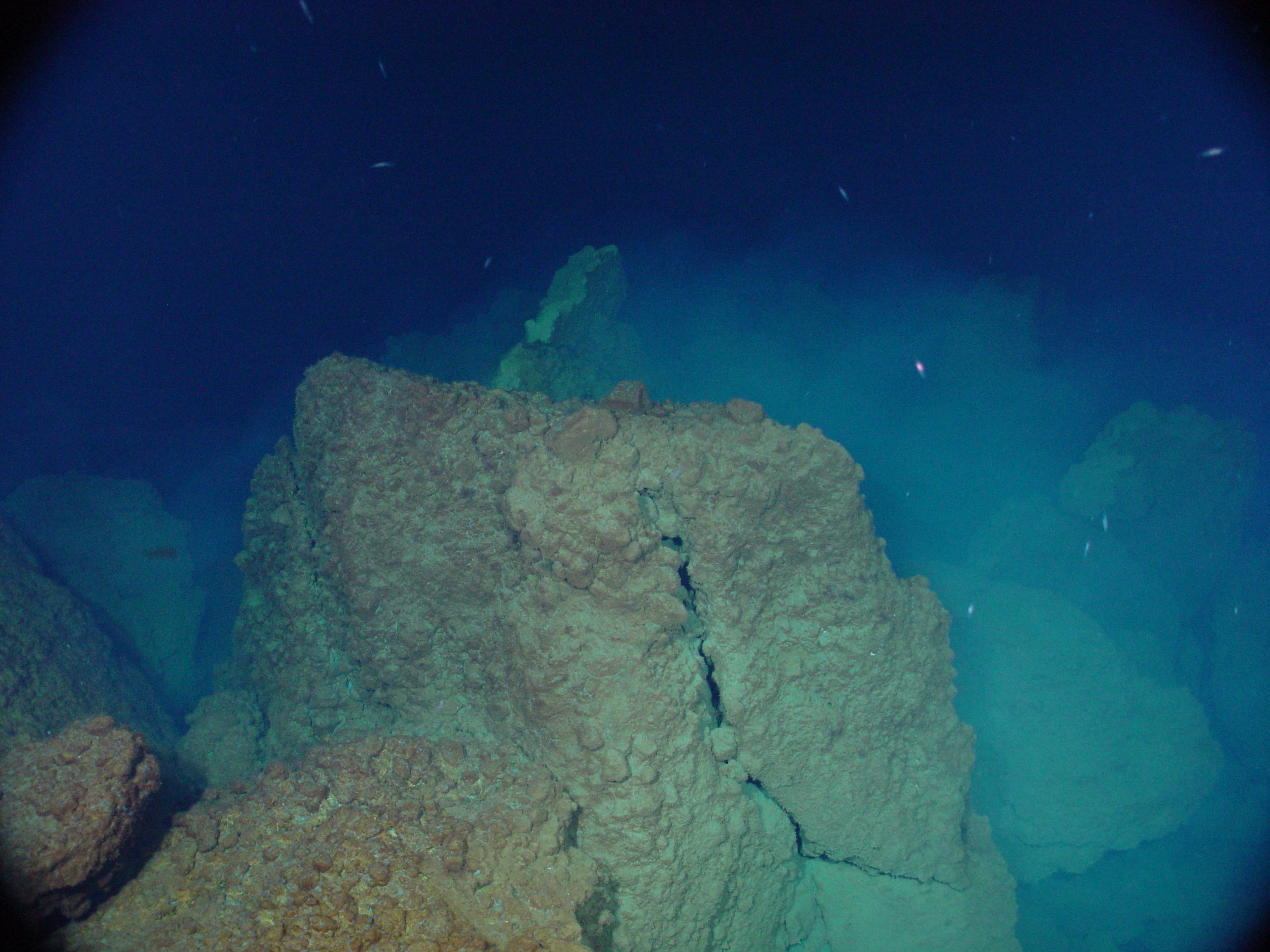 Pacific Ring of Fire Expedition