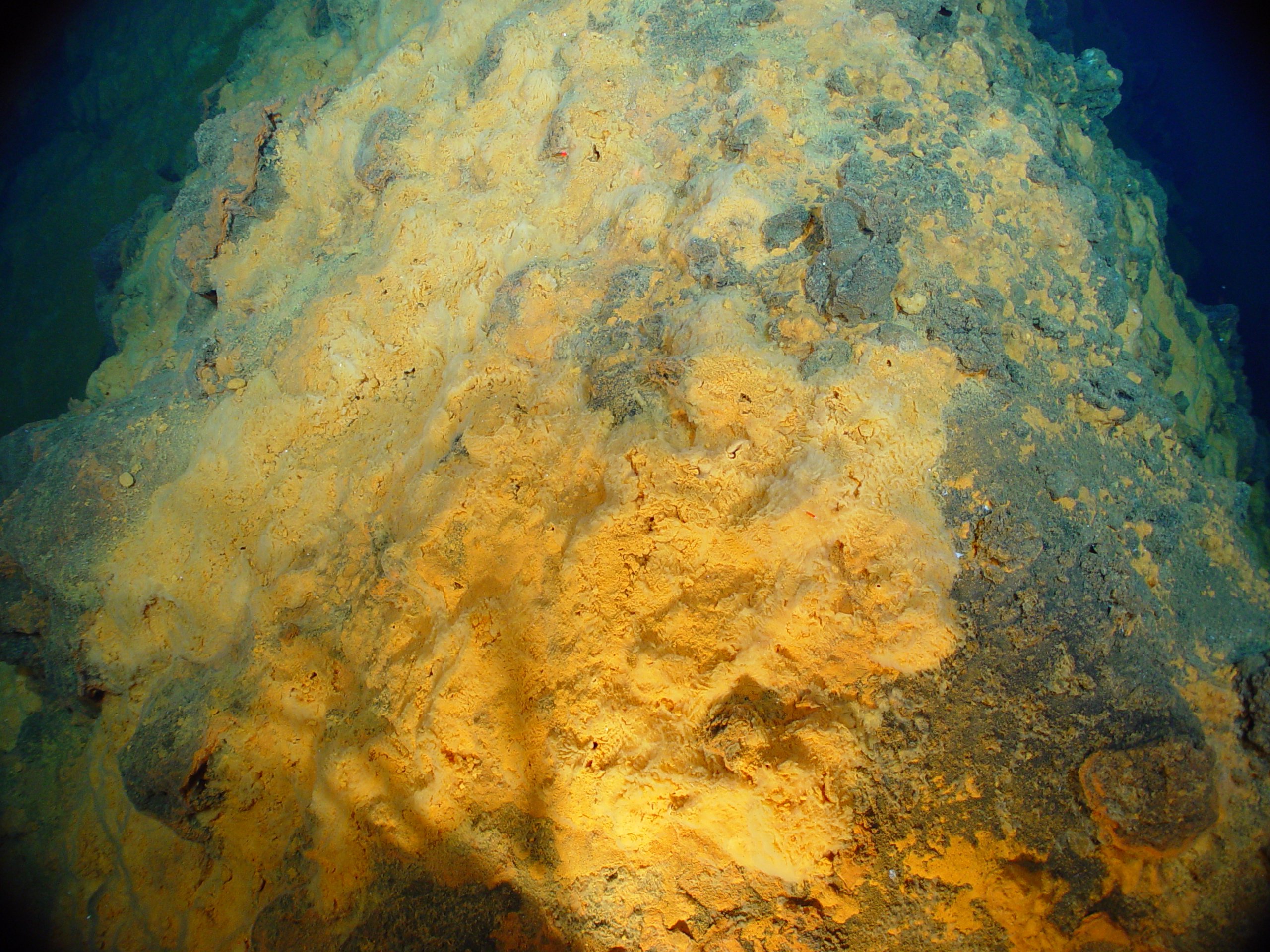 Pacific Ring of Fire Expedition