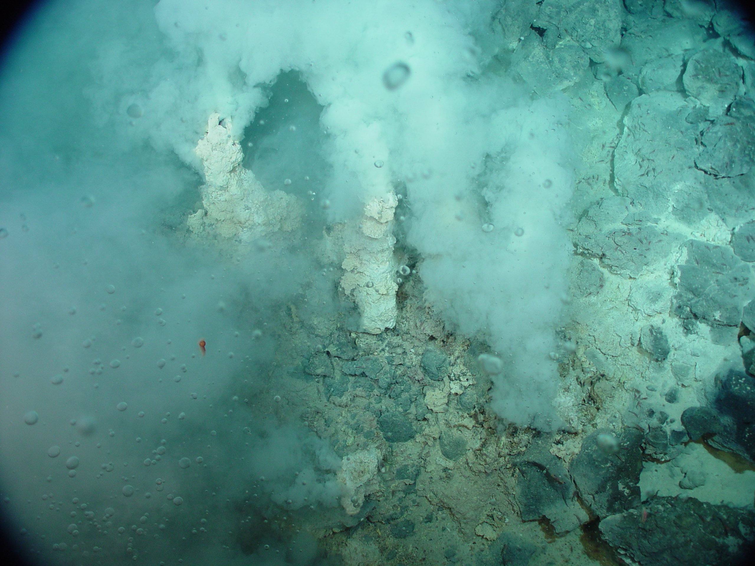 Pacific Ring of Fire Expedition