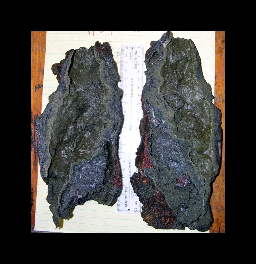 Pacific Ring of Fire Expedition