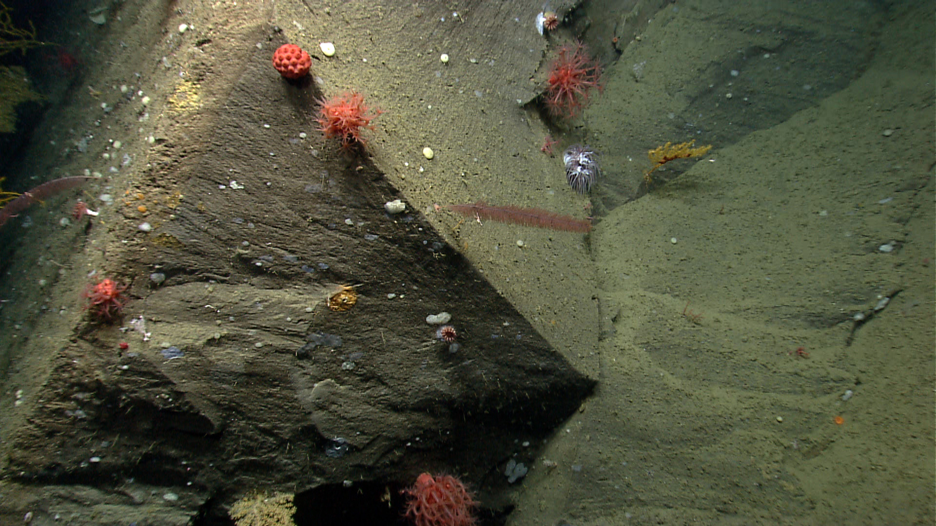 Spherical Ovoid Rocks Fractured pl23_expn0822.jpg | National Oceanic and Atmospheric Administration
