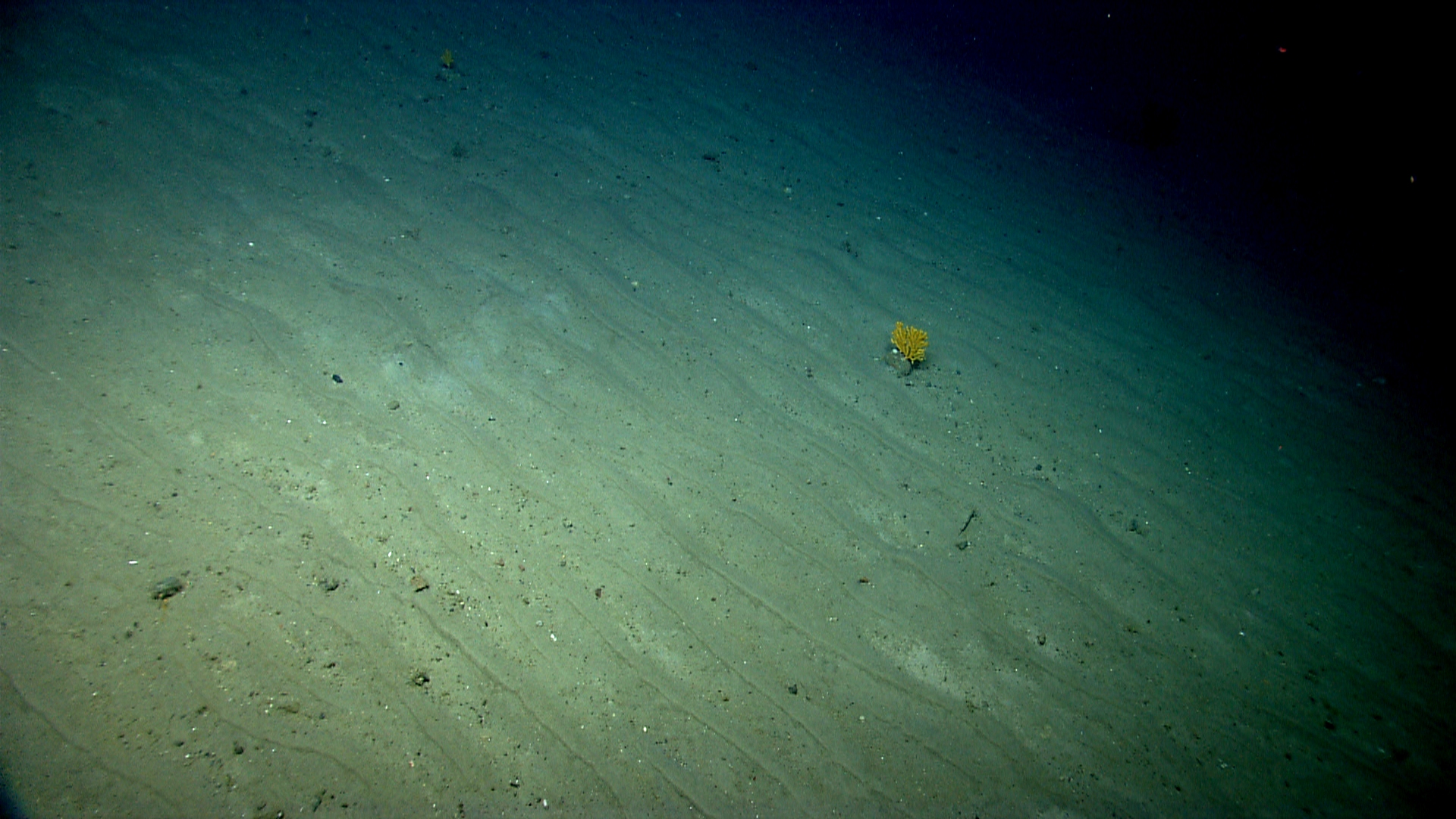 pl23_expn0852.jpg | National Oceanic and Atmospheric Administration