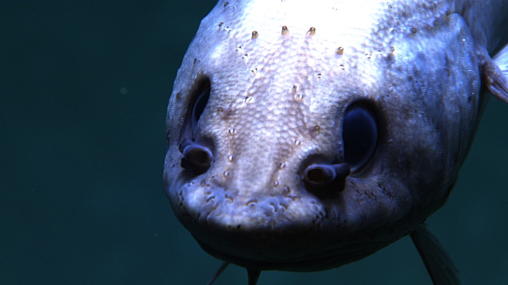 | National Oceanic and Atmospheric Administration