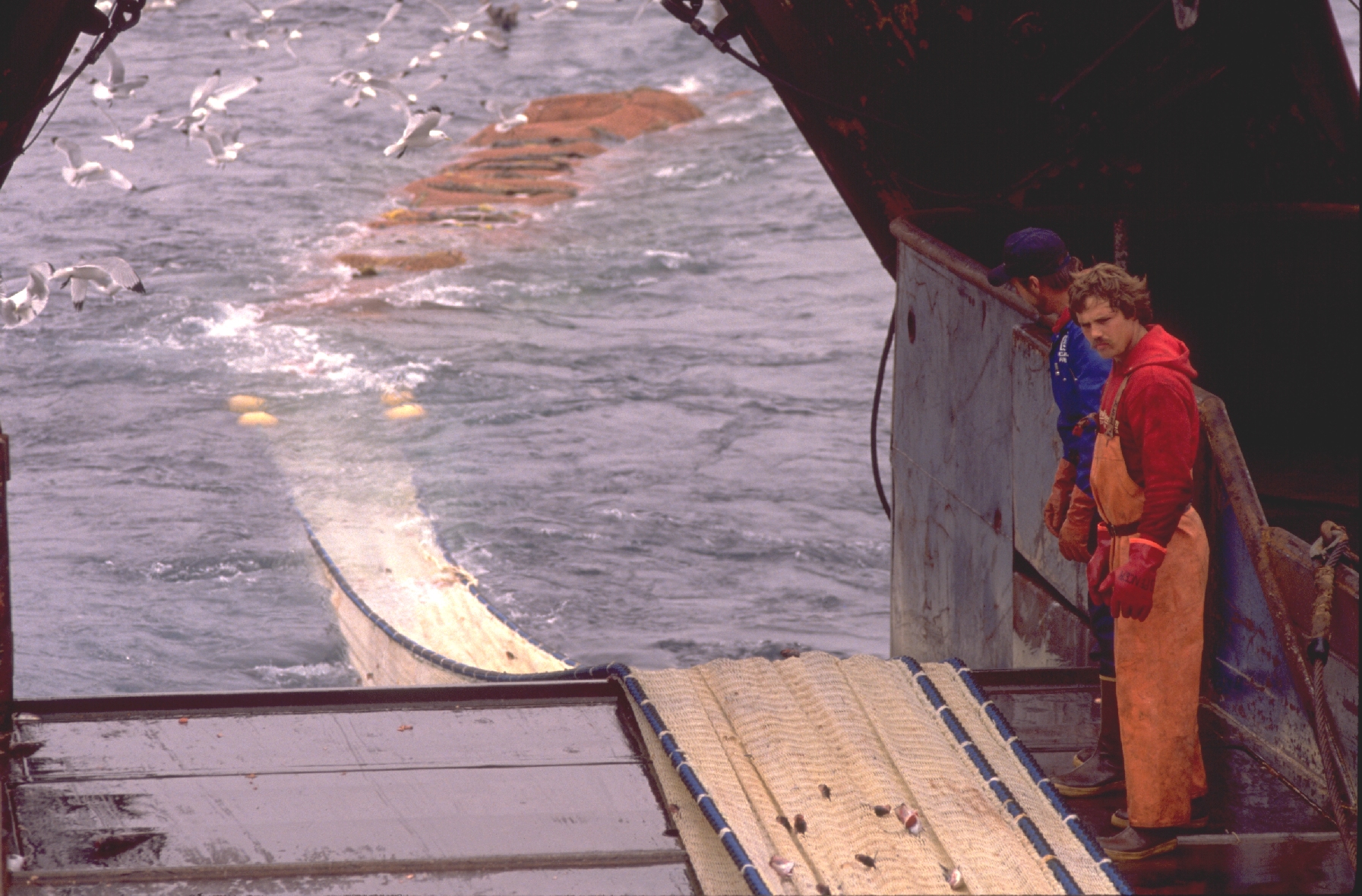 Fisheries scientists collecting tissue samples during small boat operations offthe NOAA Ship DAVID STARR JORDAN