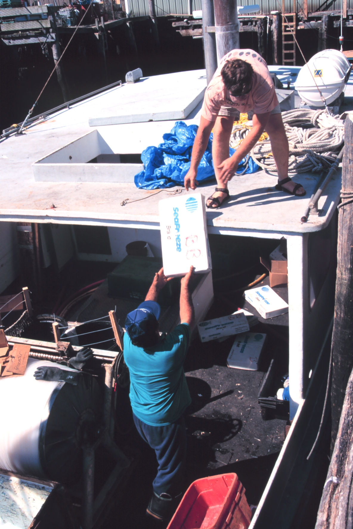 Loading frozen bait from Point Judith, Rhode Island, on a swordfish boat
