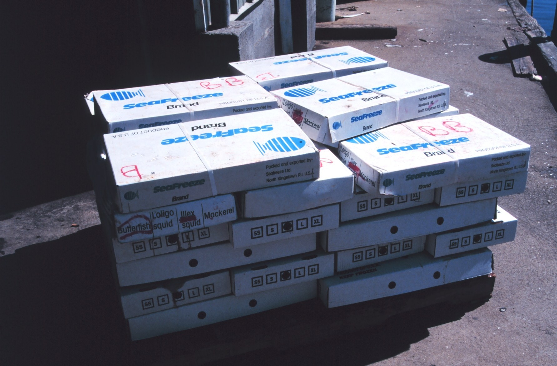 Boxes of frozen bait ready to be loaded from pier to fishing boat