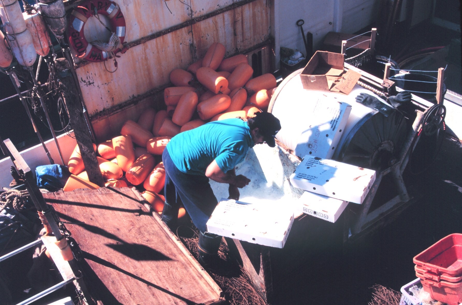 Loading frozen bait into the hold of a longliner before leaving for the fishing grounds