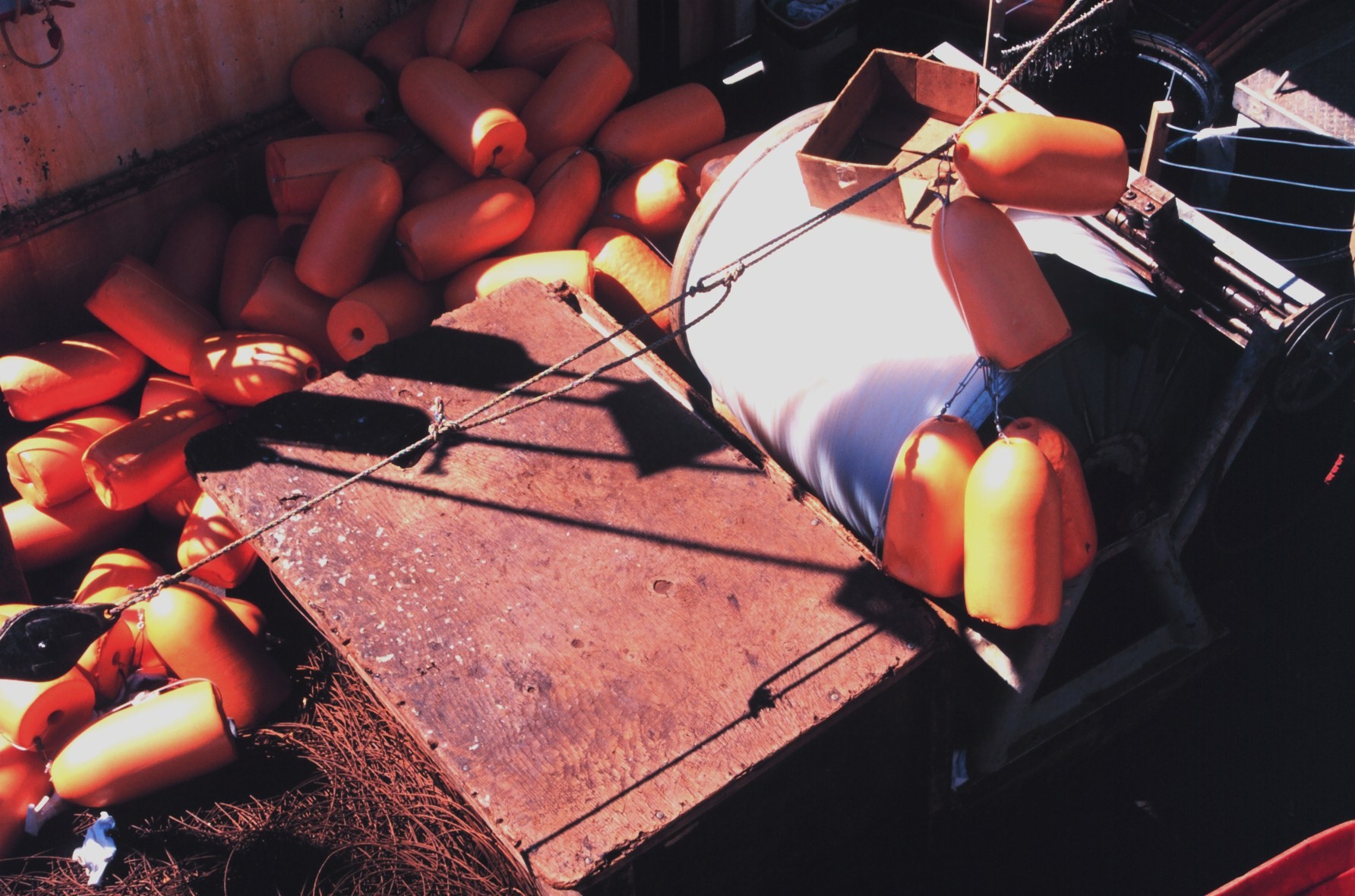 Longlines and floats being readied for the fishing grounds