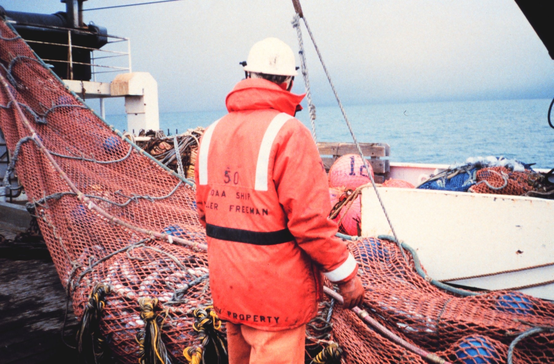 Recovering trawl during fish stock assessment surveys on the NOAA Ship MILLERFREEMAN
