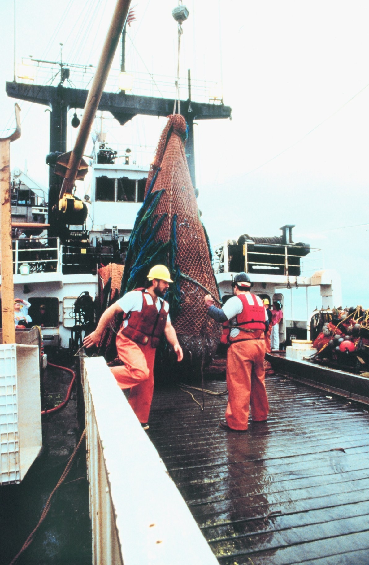Preparing to open the bag at the end of the trawl to recover captured fish onMILLER FREEMAN