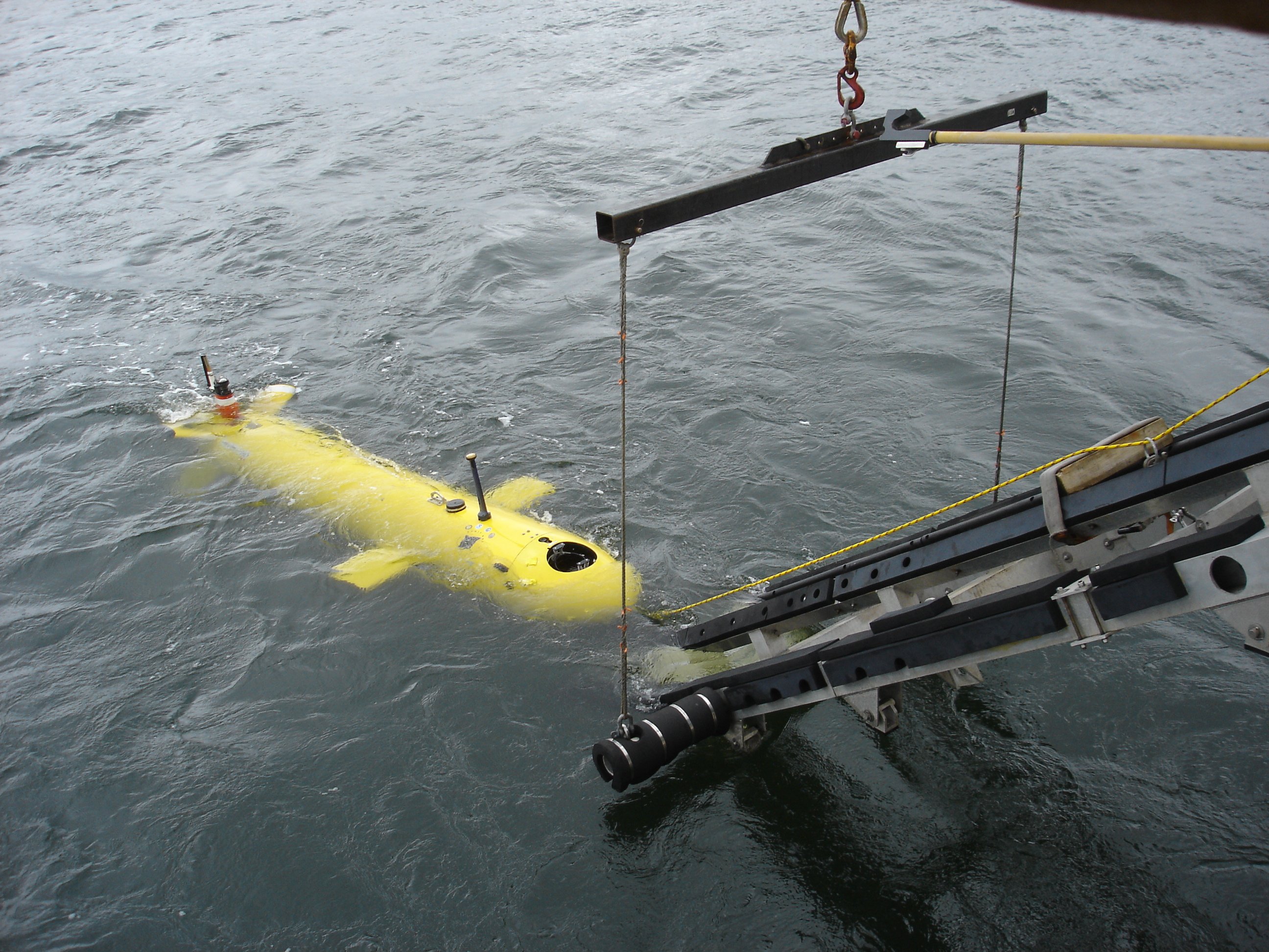 Testing the Eagle Ray AUV ( Autonomous underwater vehicle) from the NOAAShip HENRY BIGELOW