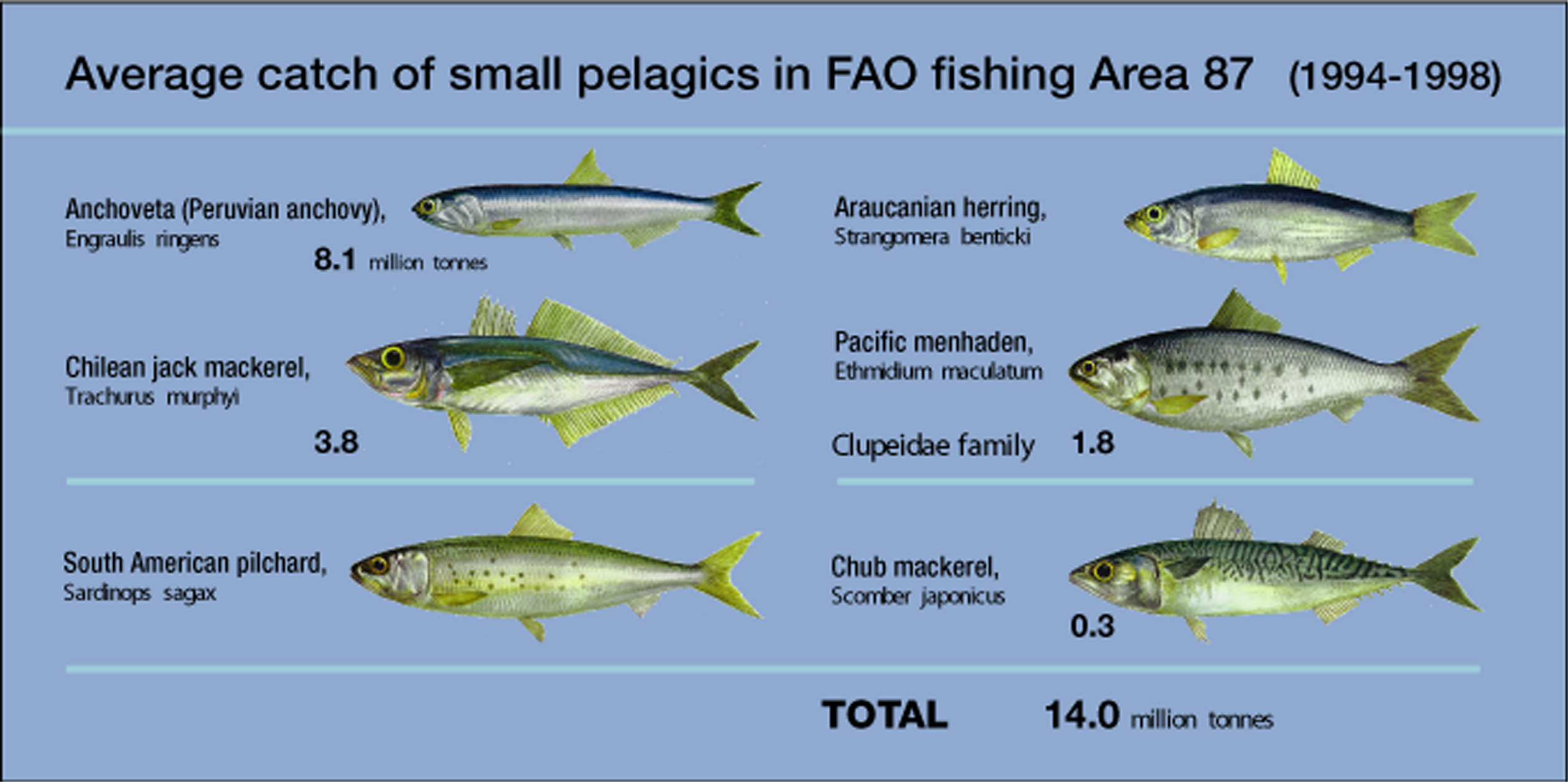 fish2199.jpg | National Oceanic and Atmospheric Administration