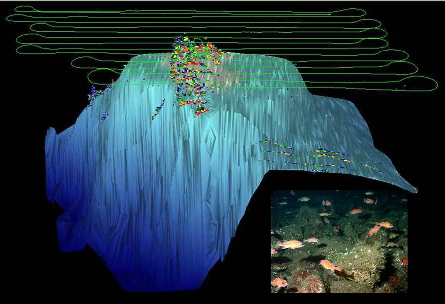 3-D image of bank with AUV trackline superimposed and acoustic fish survey(colored circles) from AUV shown