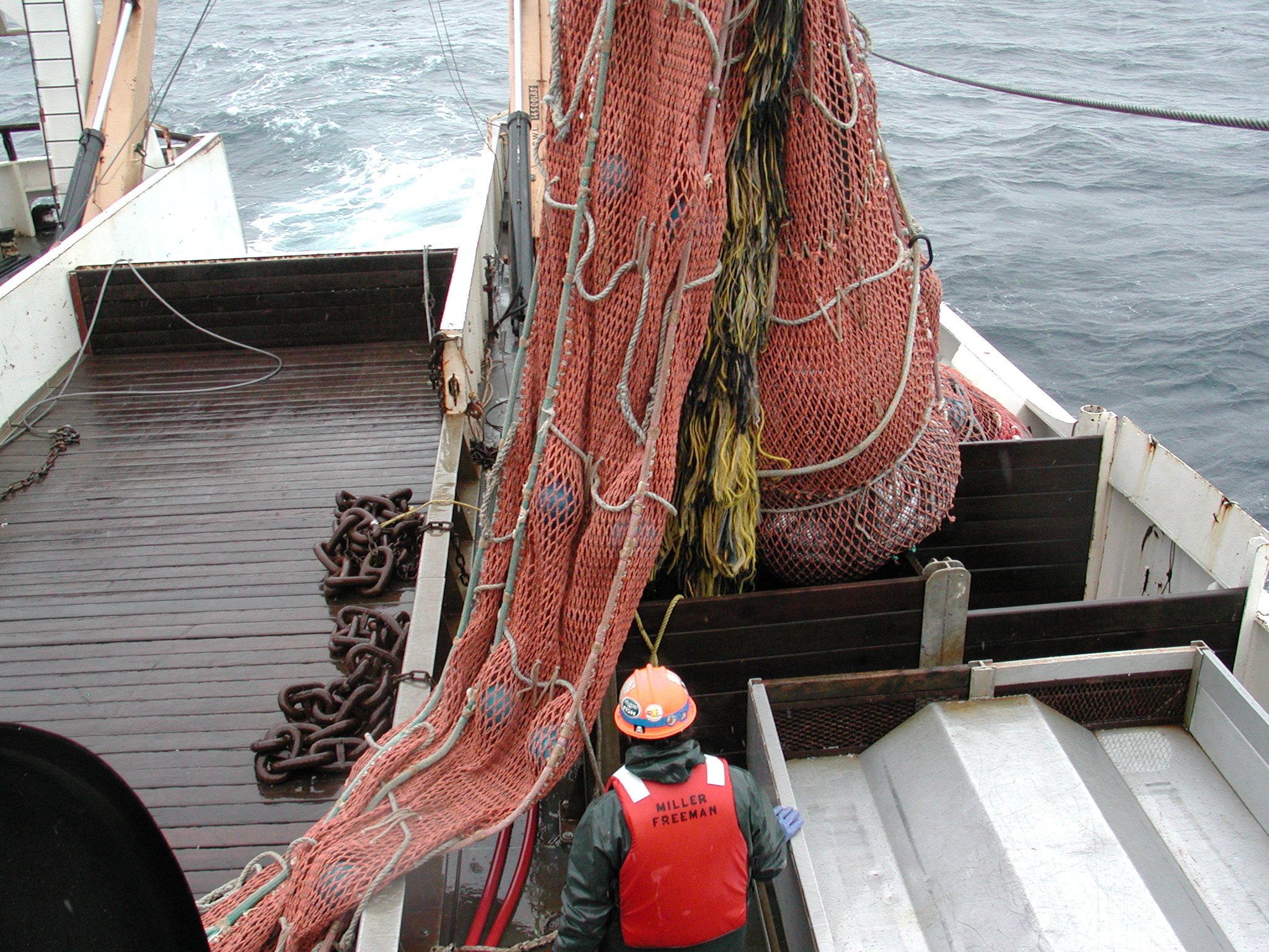 Cod Fishing Processing Ship fish2553.jpg | National Oceanic and Atmospheric Administration