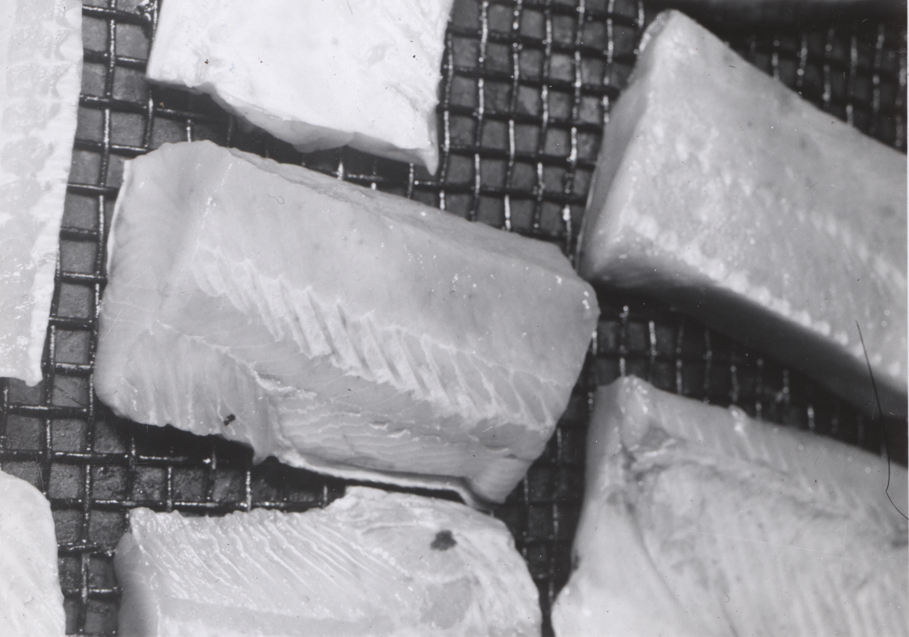 Chunks of salmon on tray ready for smoking at Booth Fisheries