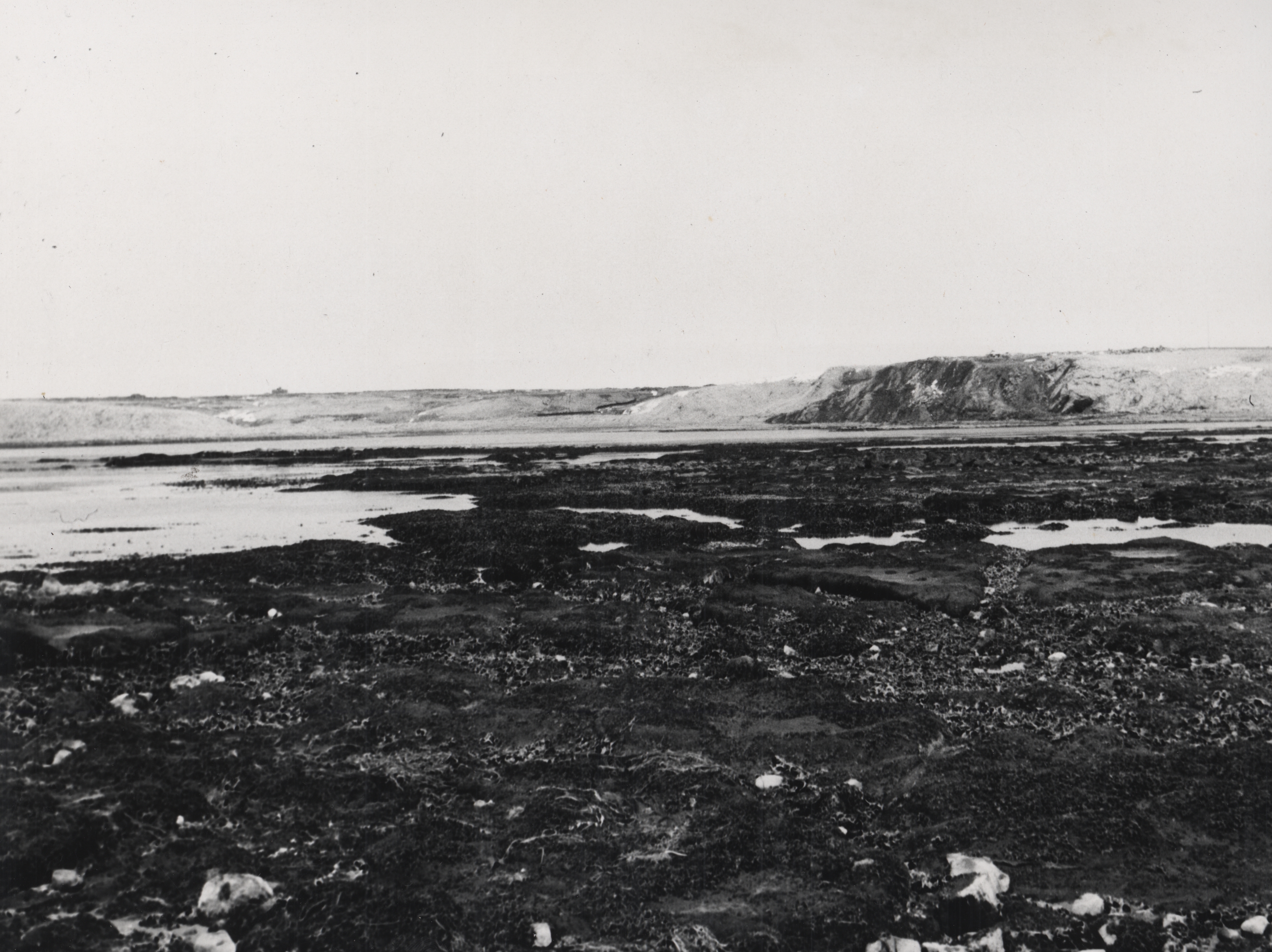 East side of Makarius Bay, looking north showing rocks and kelp with tide out