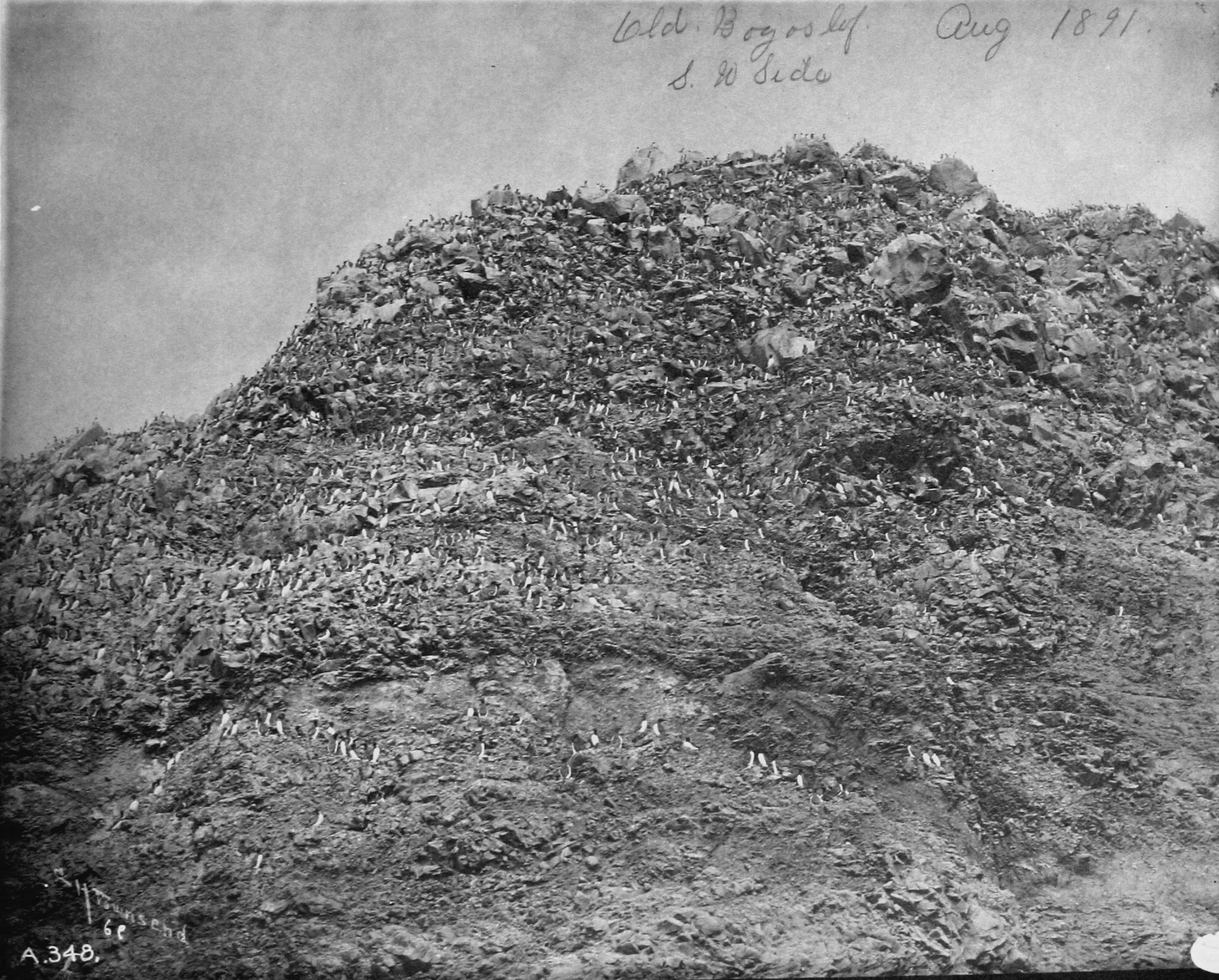 Old Bogoslof, southwest side, Aug