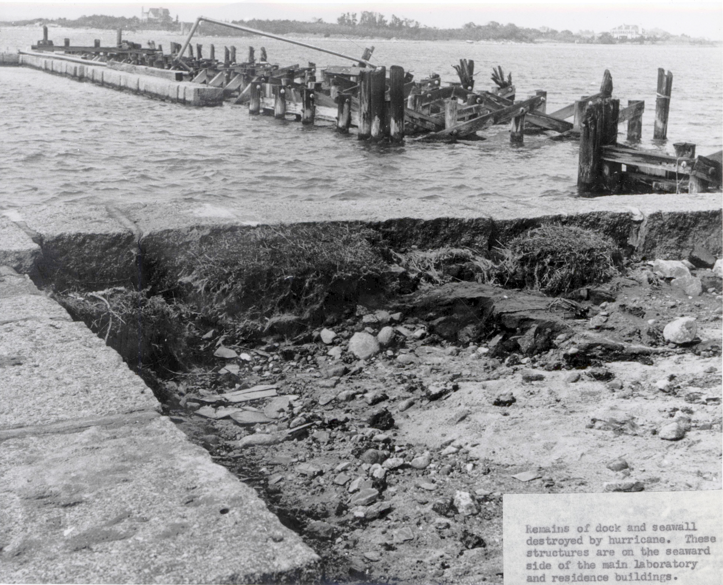 fizh1372.jpg | National Oceanic and Atmospheric Administration