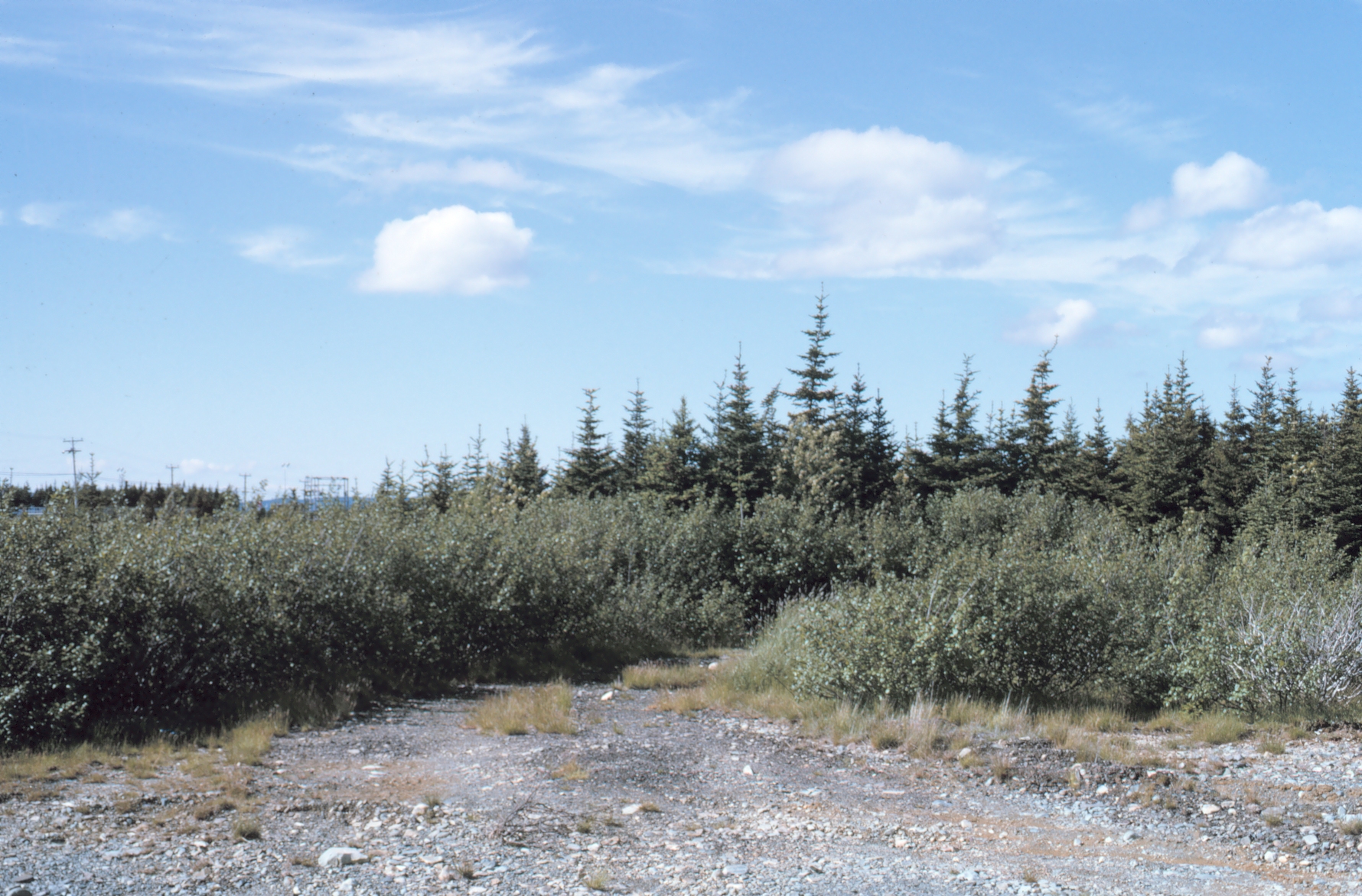 Station Number 121 - occupied late 1965 to mid-1966