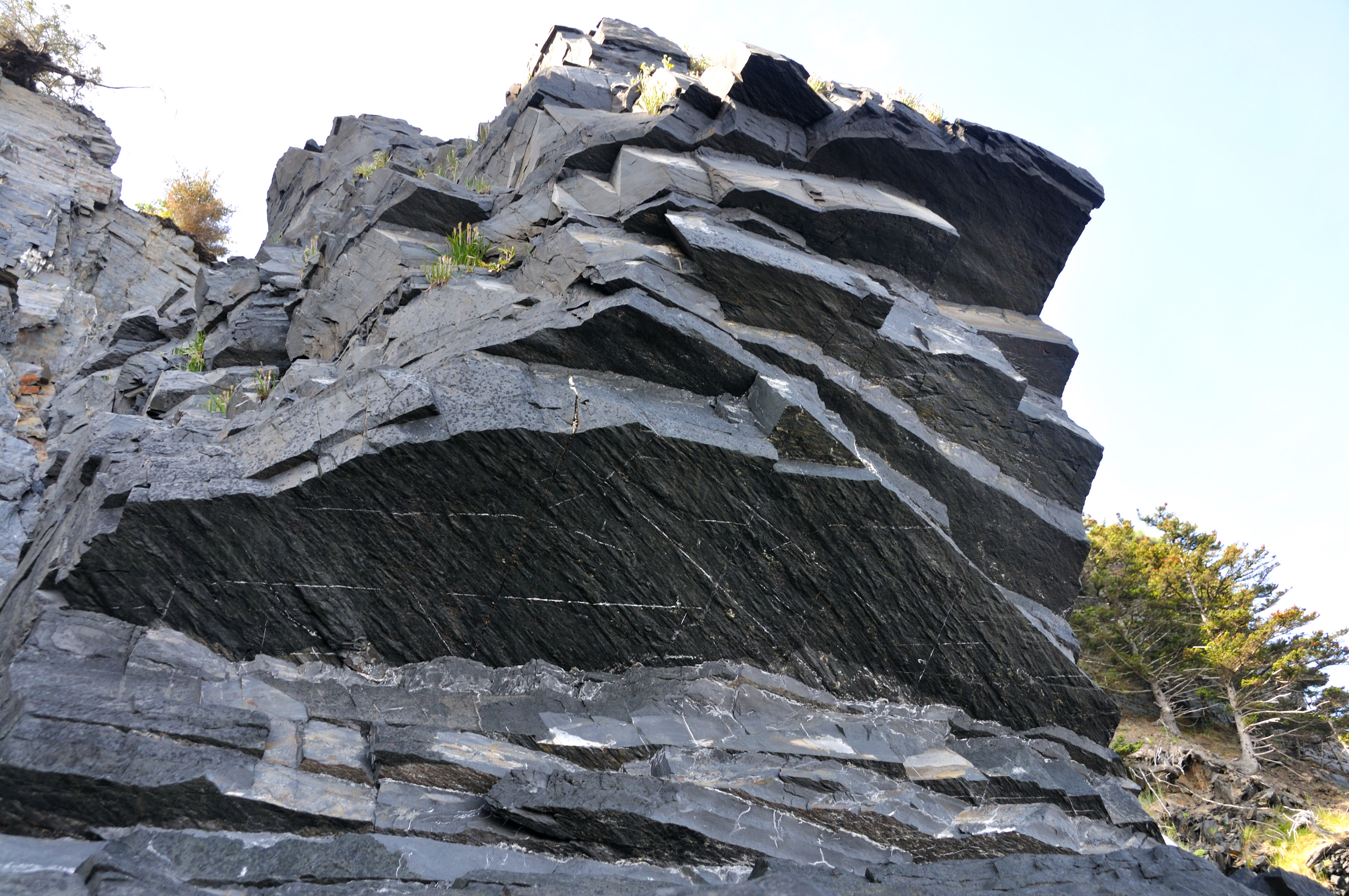 Banded Cliffs line6640.jpg | National Oceanic and Atmospheric Administration