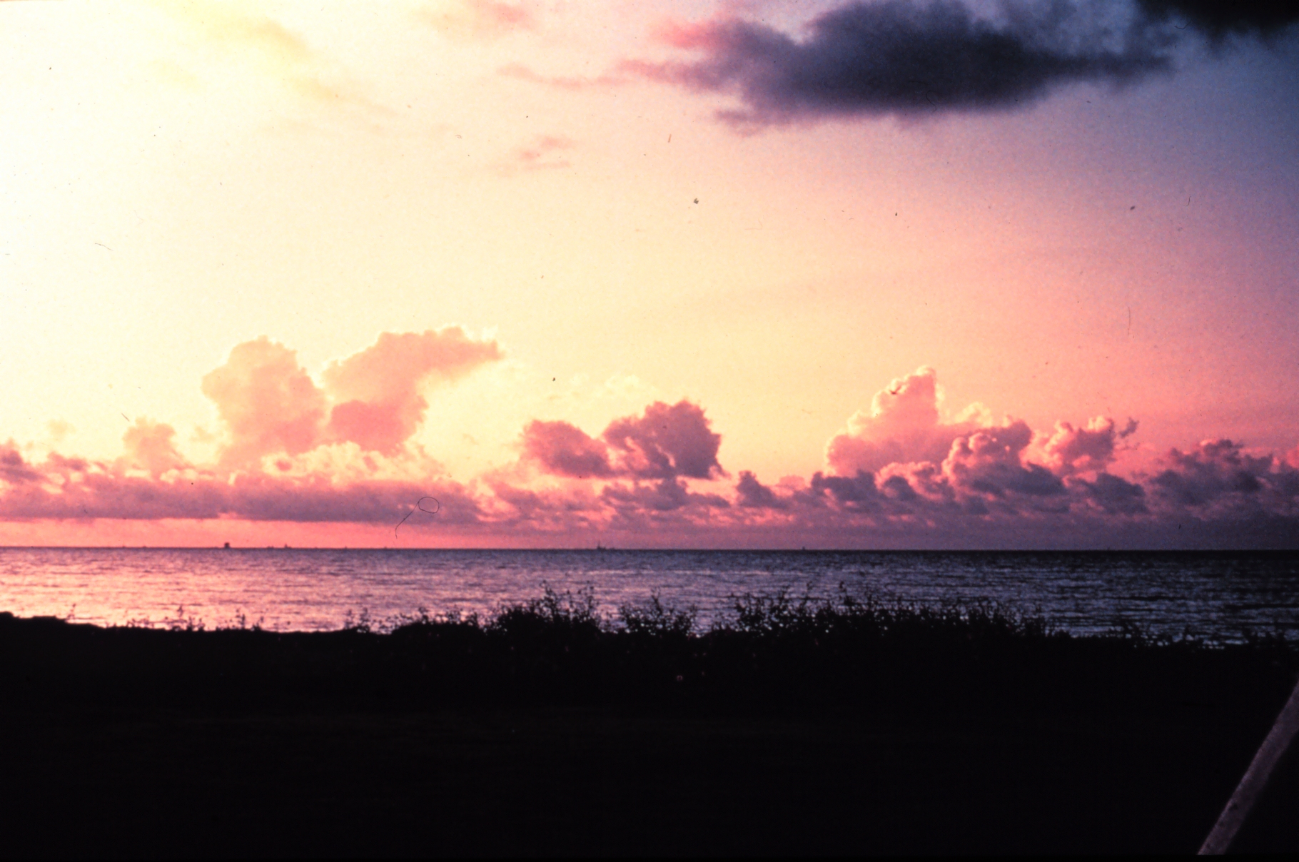 Cumulus clouds forming over water