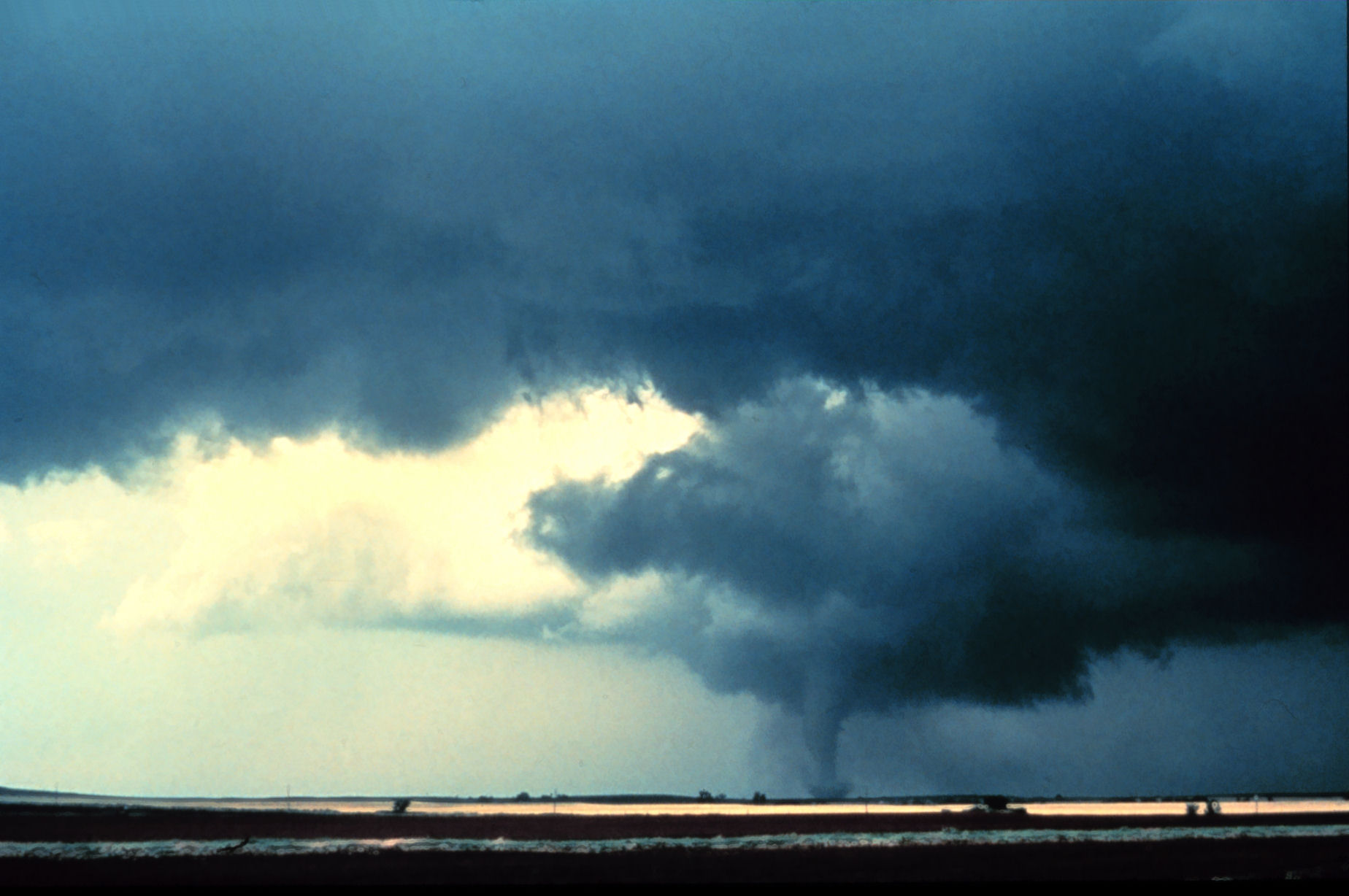 Alfalfa Tornado
