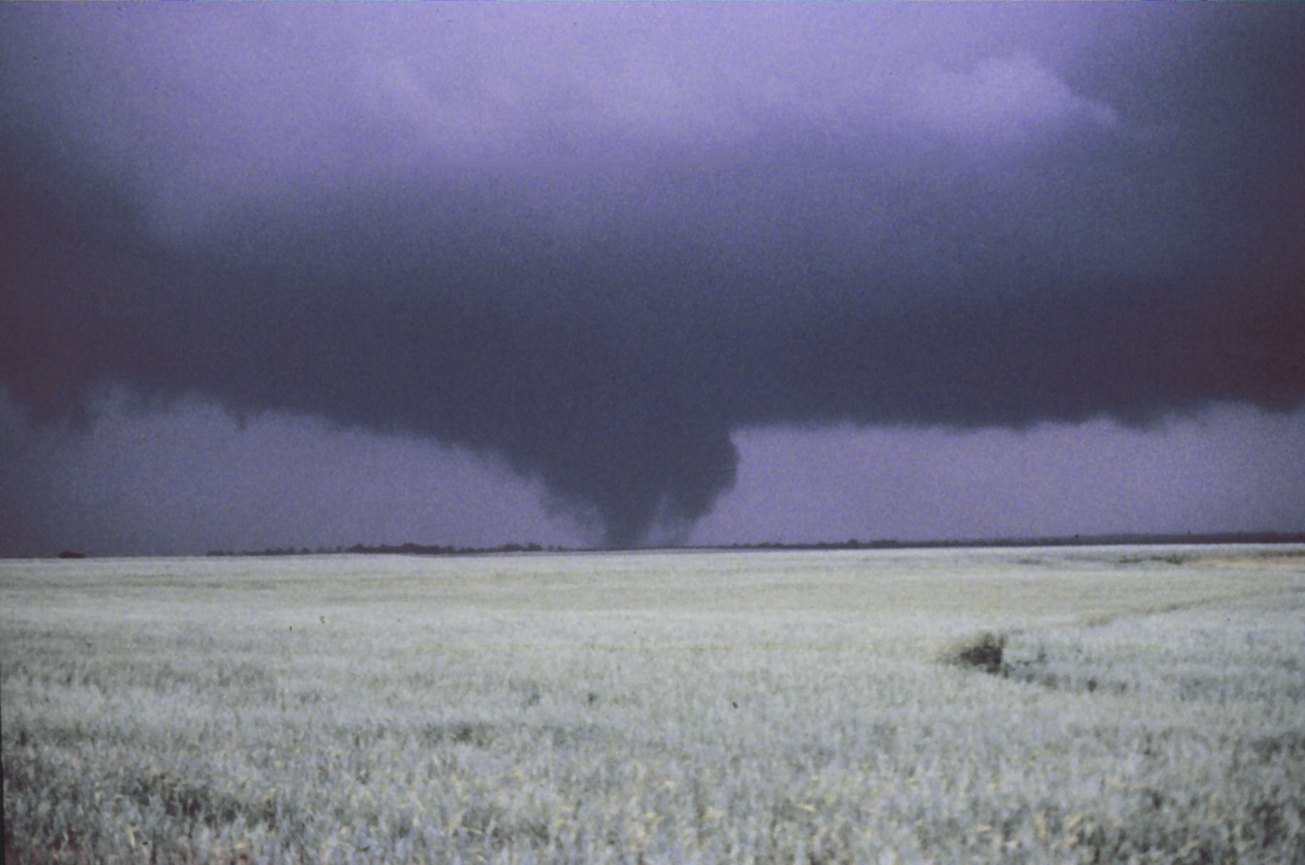 Mayfield Tornado