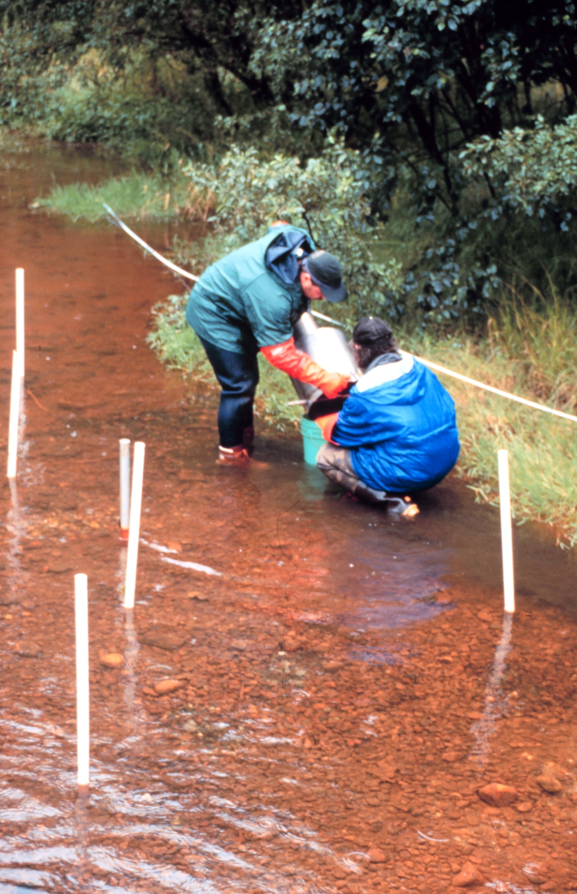 Seep Sampling r0003021.jpg | National Oceanic and Atmospheric Administration