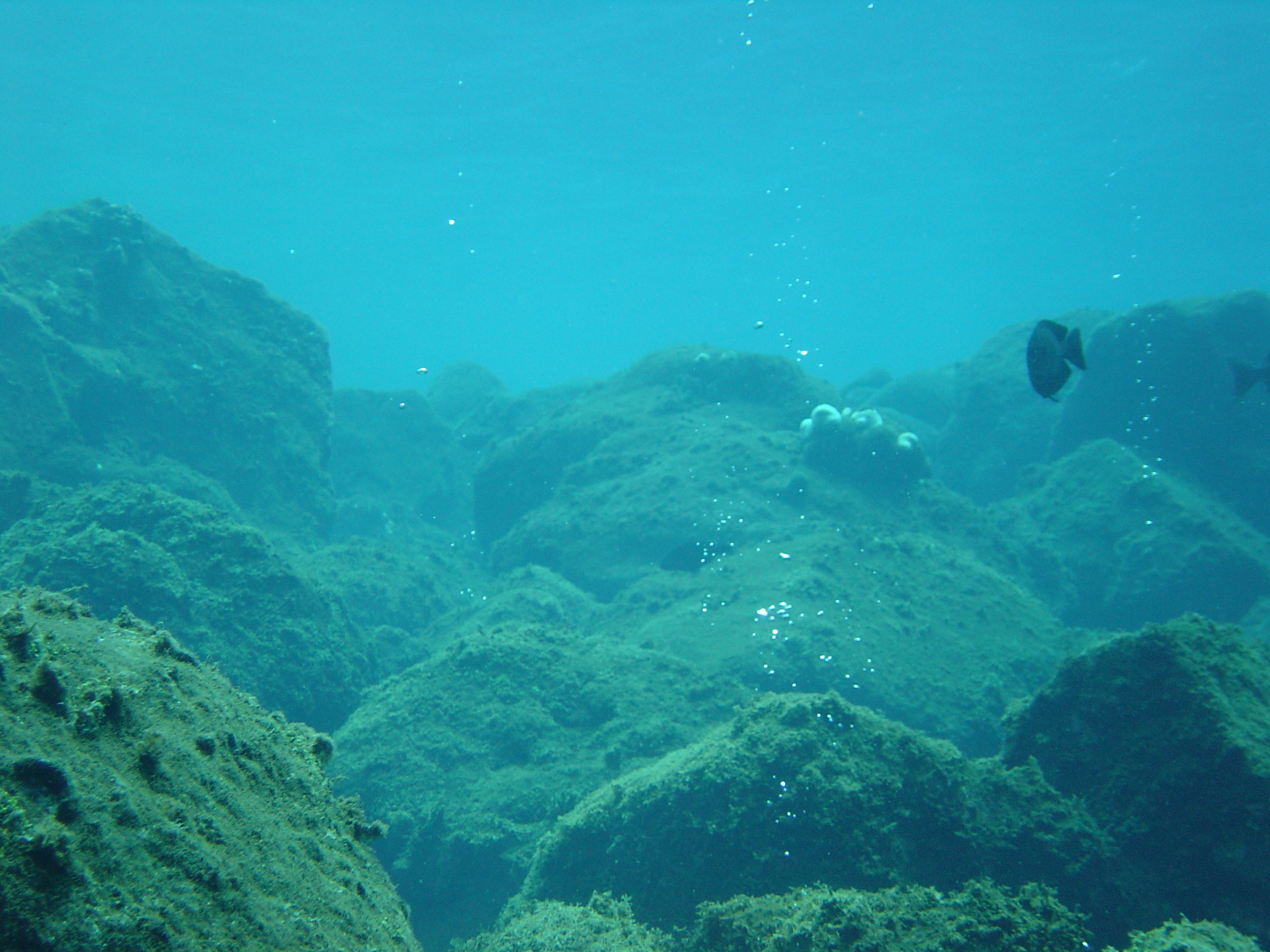 A rare near-surface volcanic hydrothermal spring emitting hydrogren sulfide gas