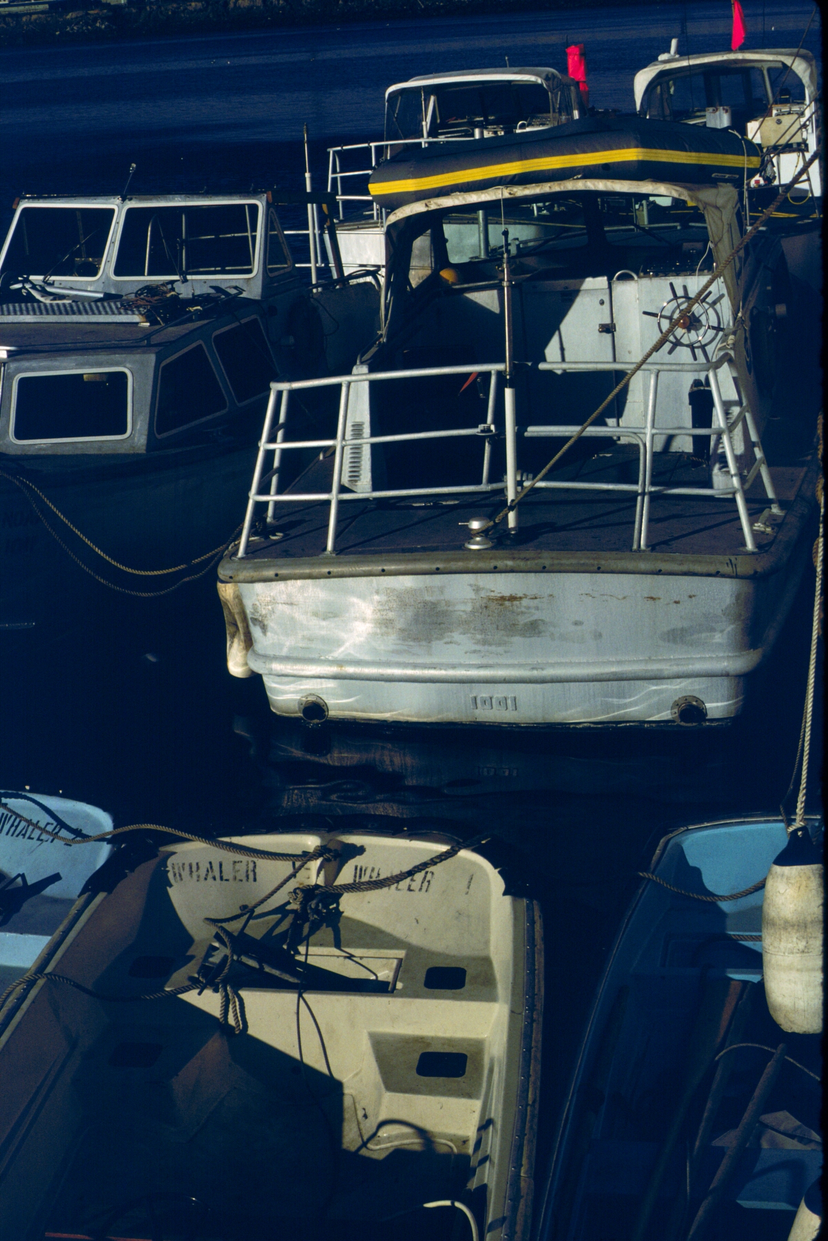 Jensen survey launches and small boats tied up at NOAA's Pacific Marine Center