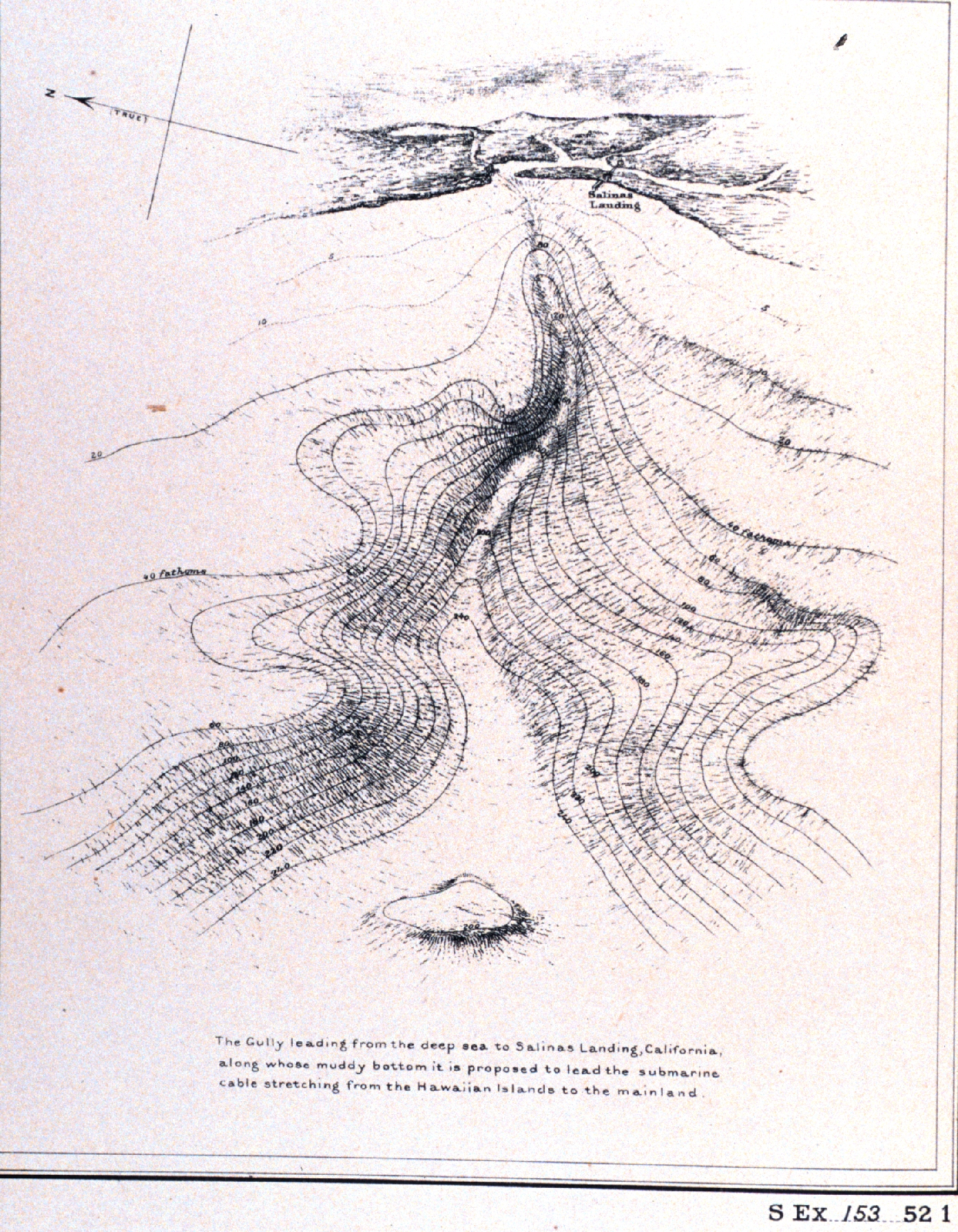 Three-dimensional image of Monterey Canyon, termed a gully in this image