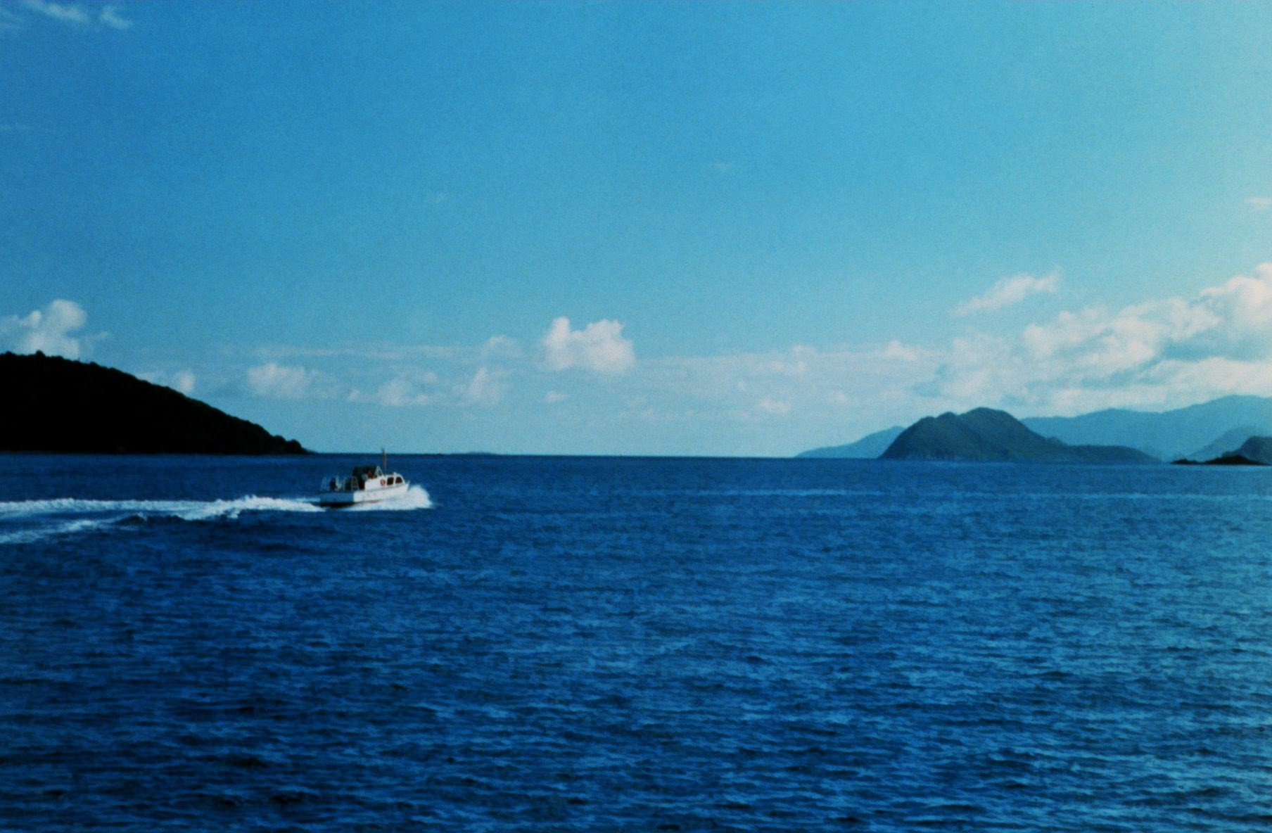 Jensen survey launch