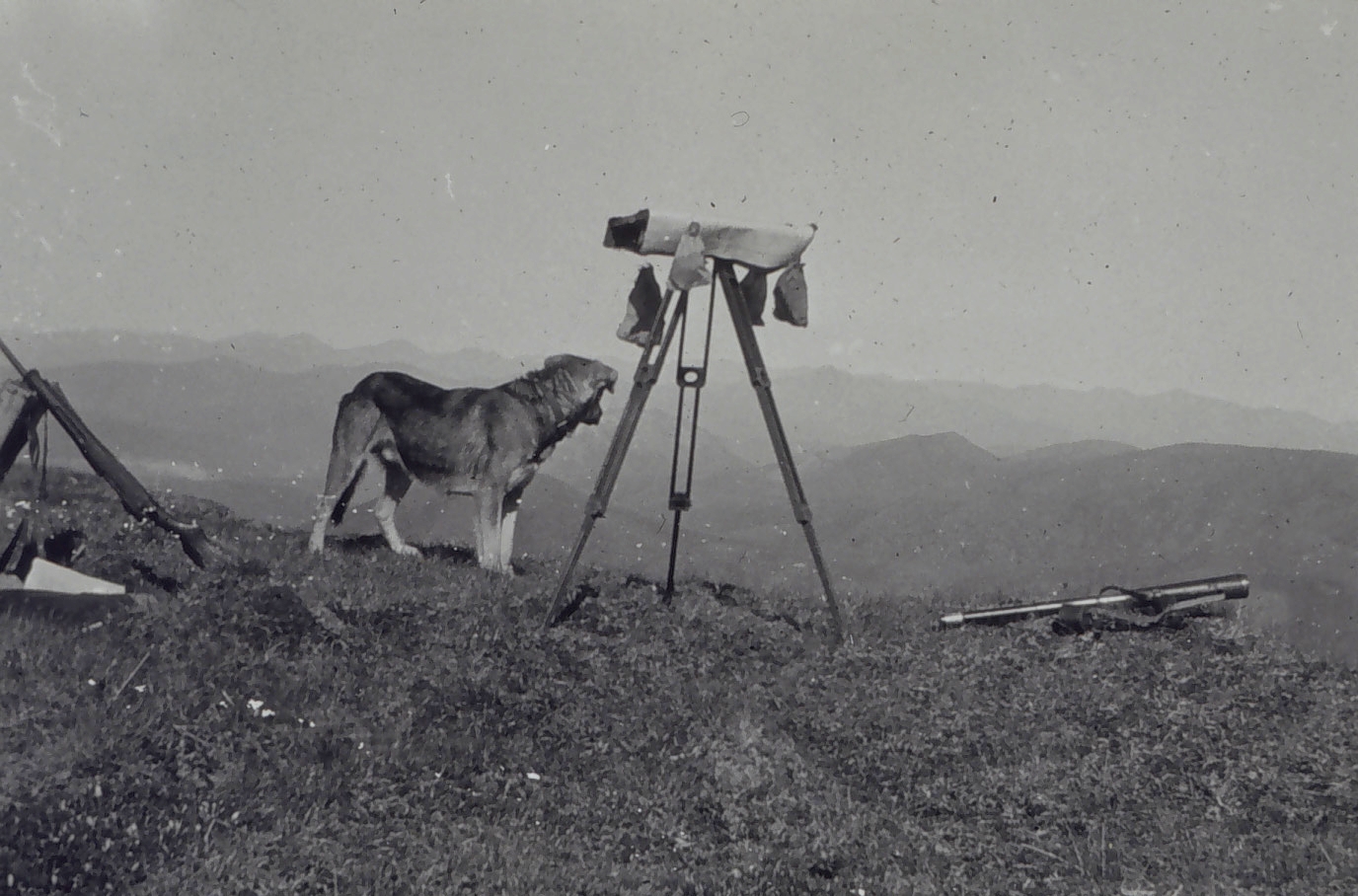 Occupying station for reconnaissance along arc from Fairbanks to 141st Meridian