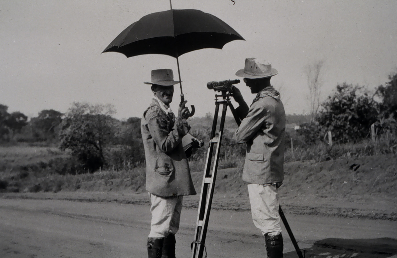 First order level observations in Brazil