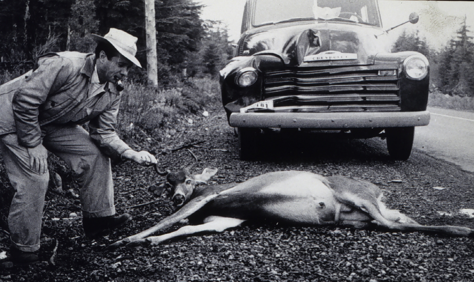 A party casualty on the Olympic Peninsula
