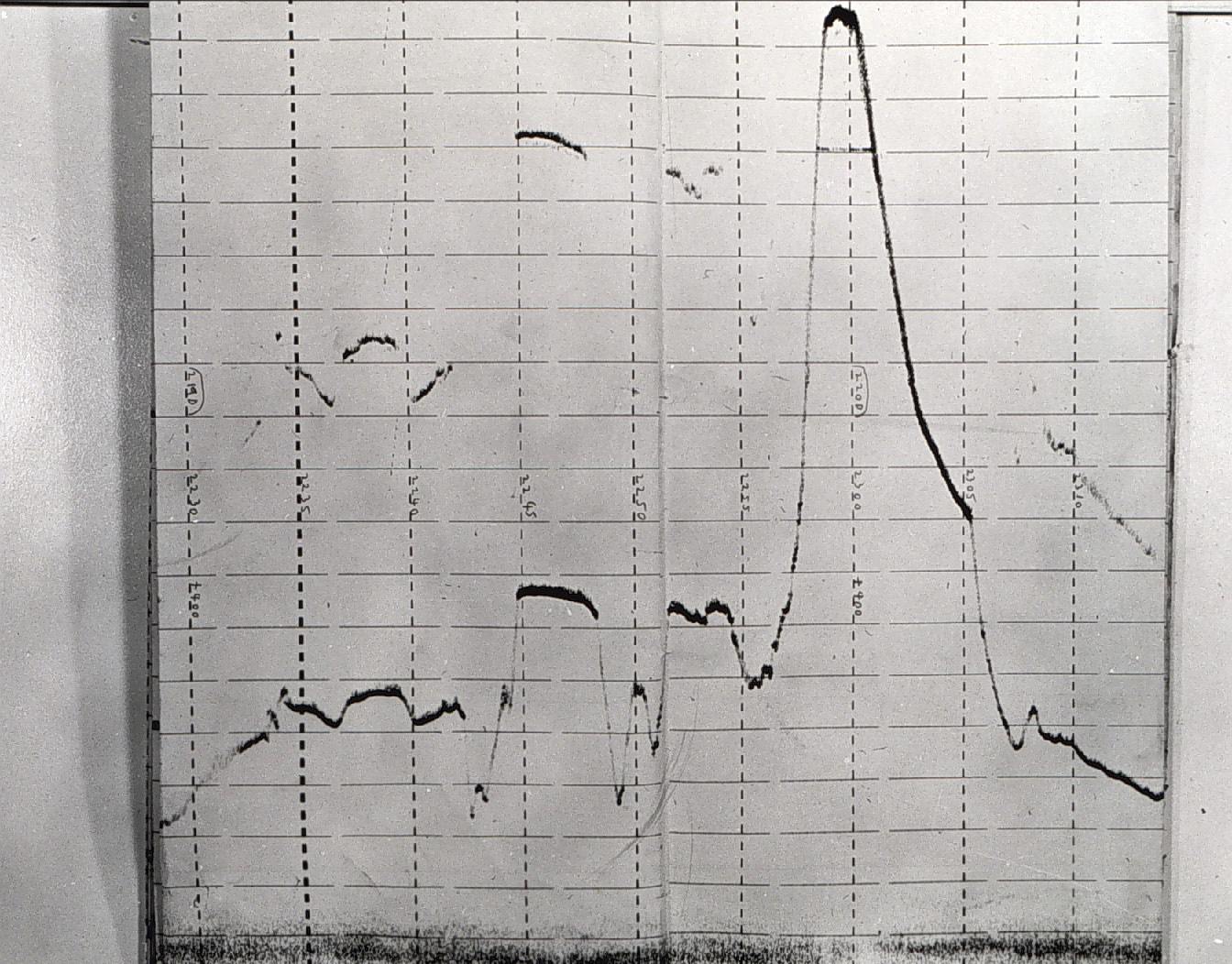 Deep discovered by OCEANOGRAPHER in Red Sea