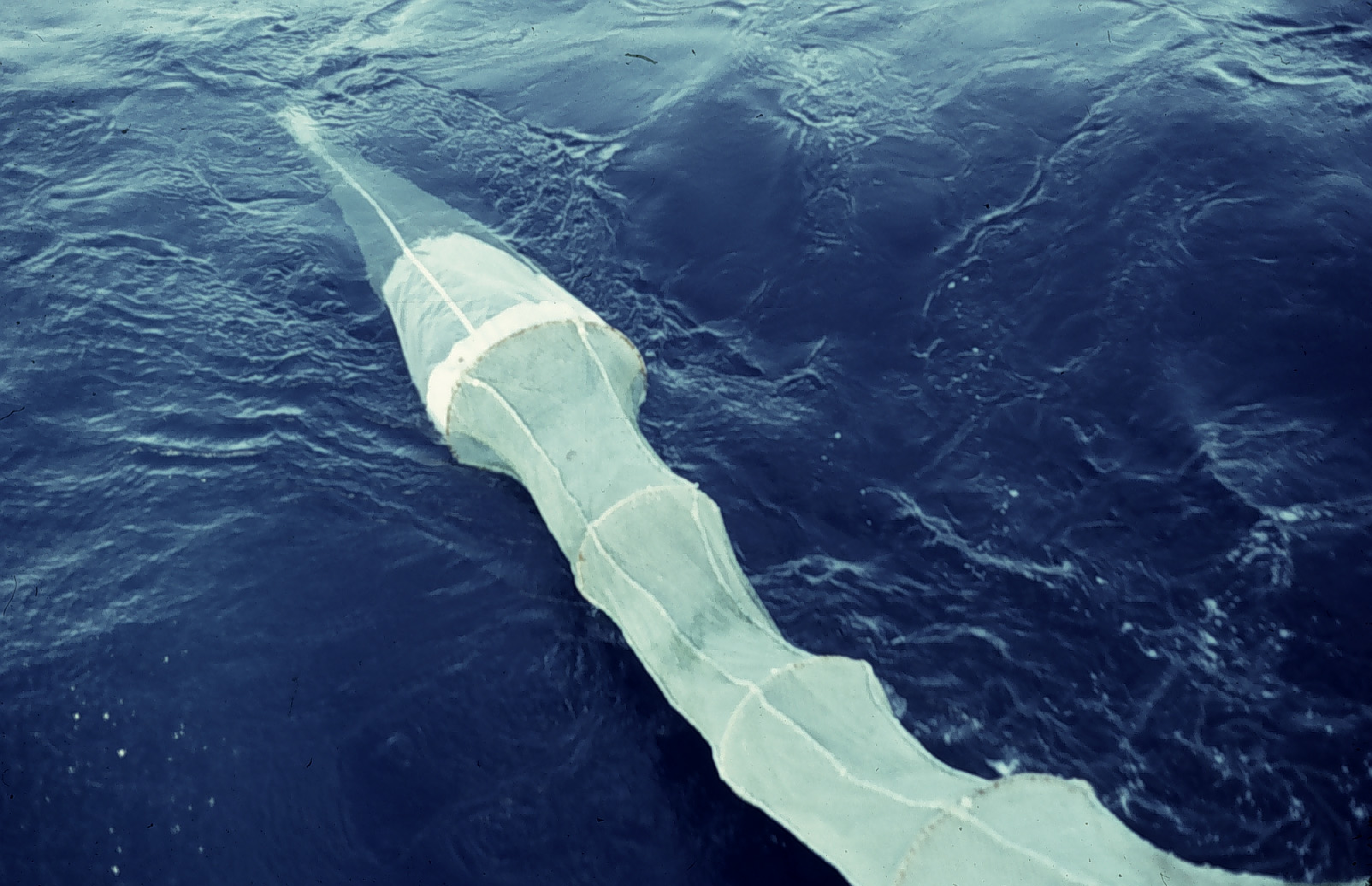 Large surface tow net