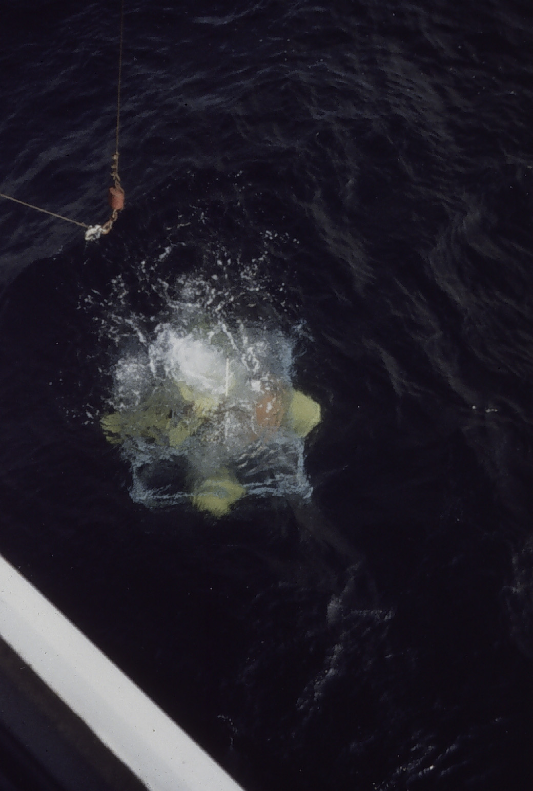 BISP being released and beginning trip to bottom