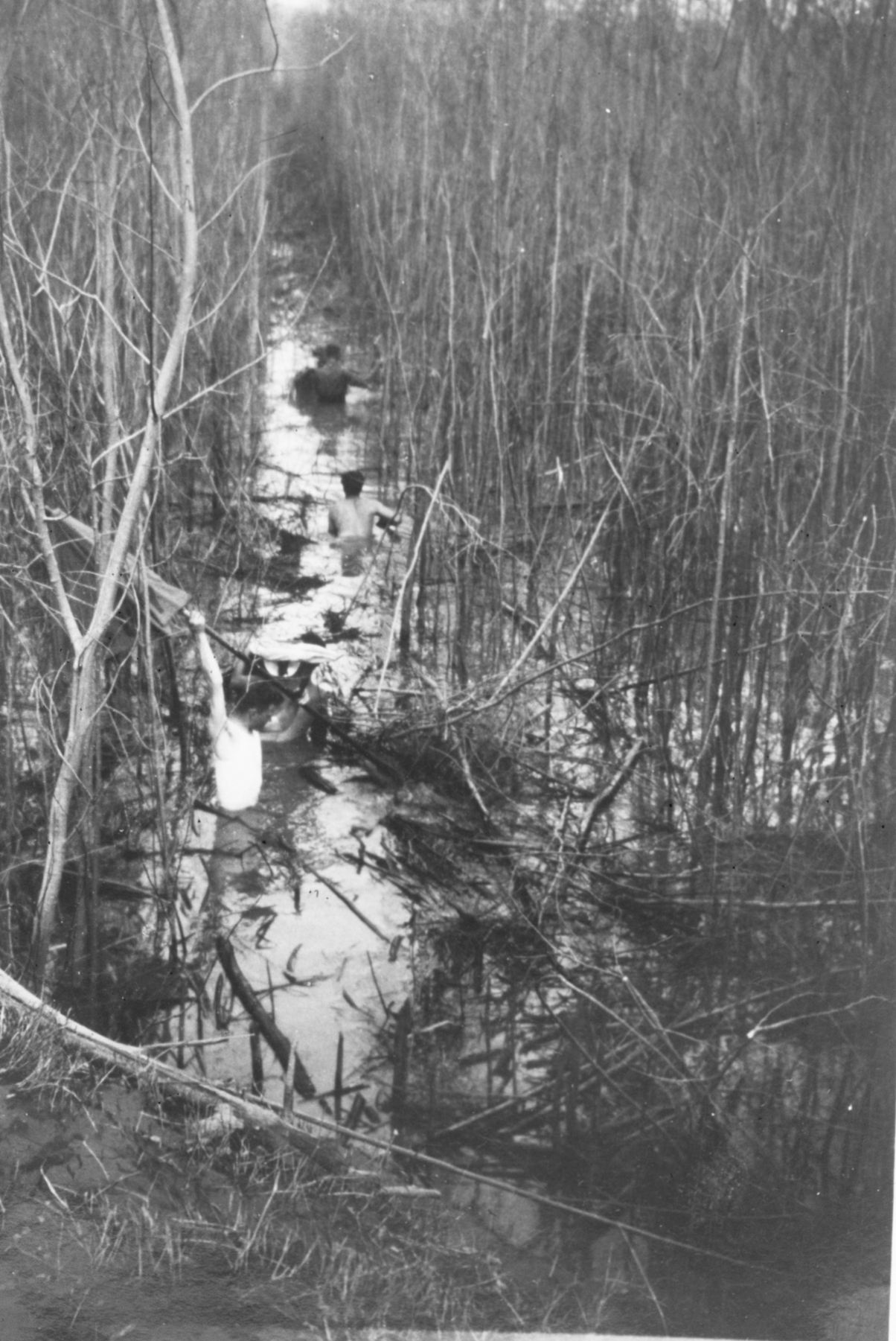 Level crew wading through swamp after cutting path through brush