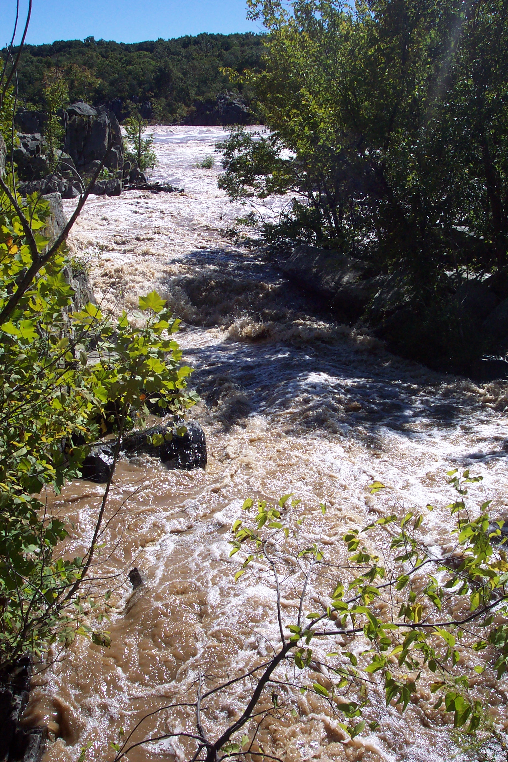 Raging waters flowing out to the main body of the Potomac River during flood