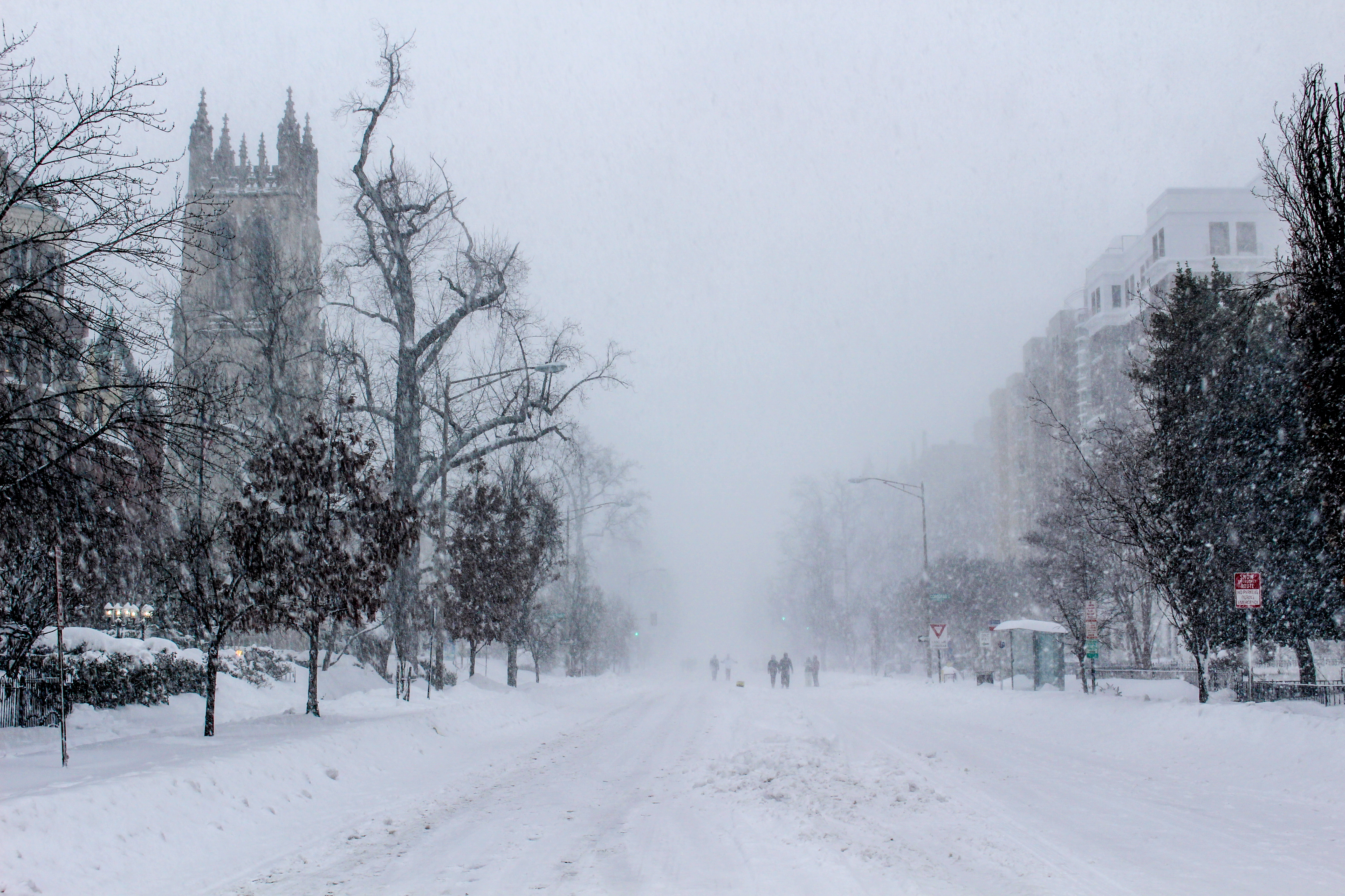 Bus stop with no buses on the right side of the road during Snowzilla