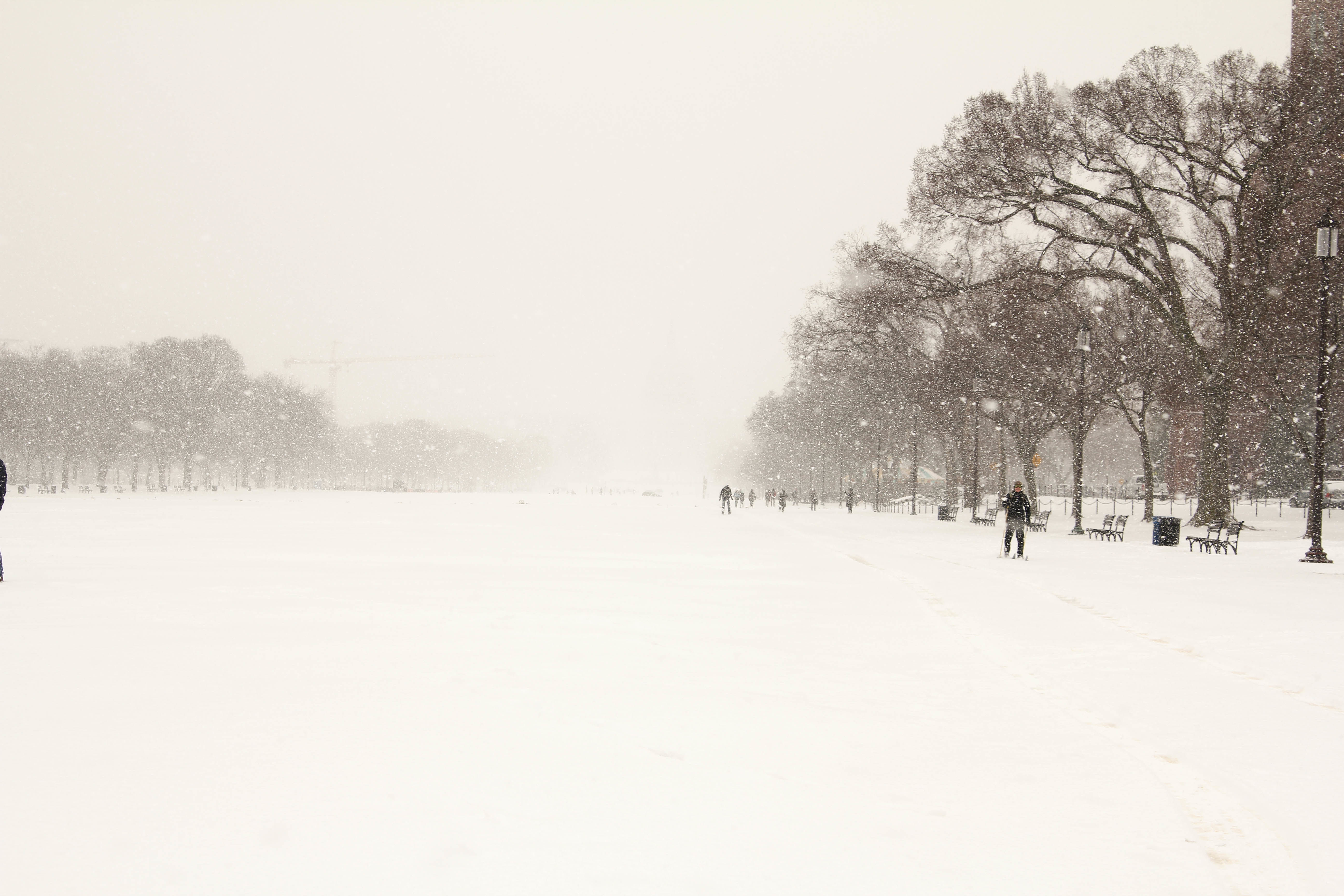 Cross country skiers take advantage of a late winter snow on theNational Mall