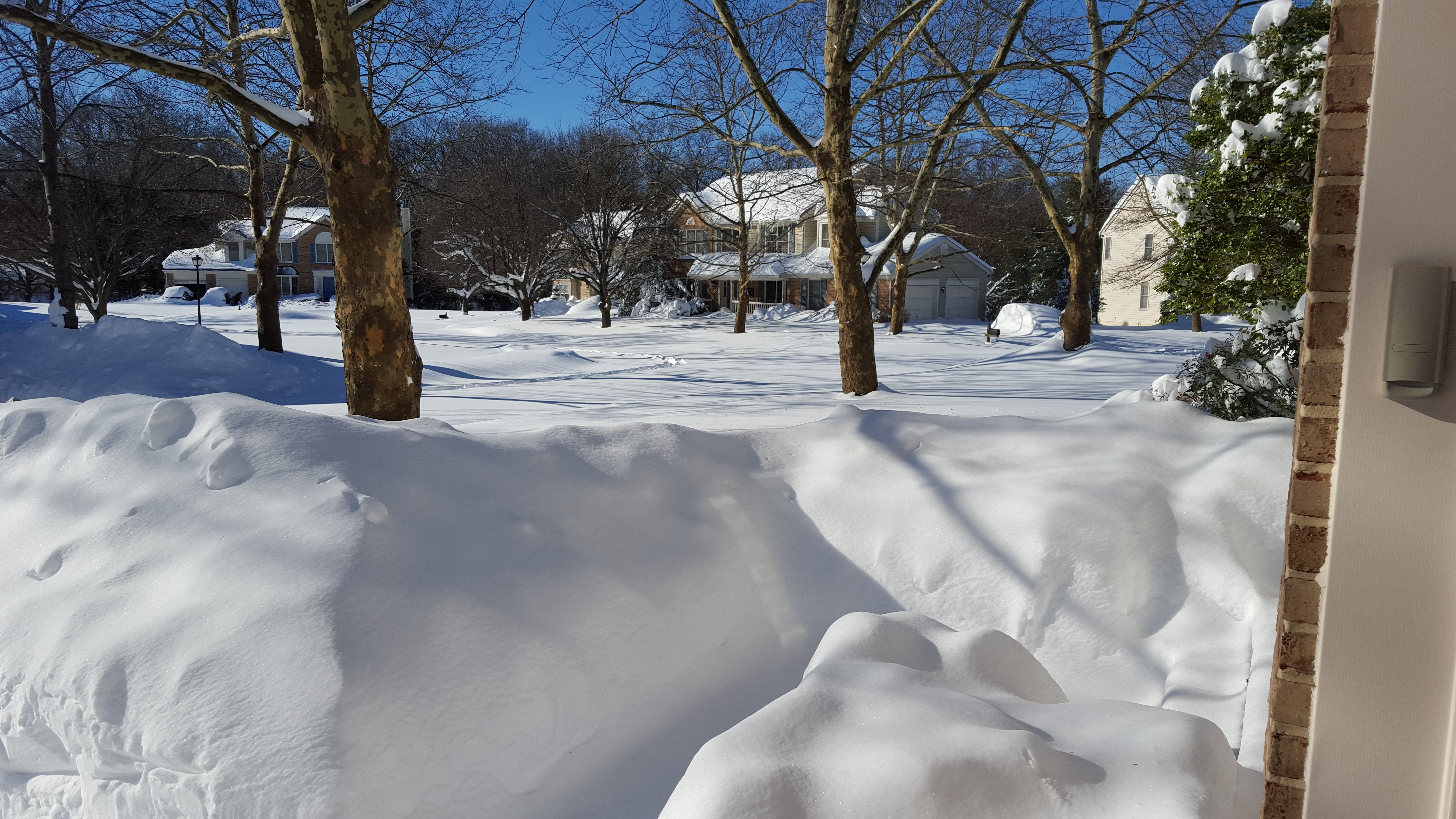 The day after Snowzilla