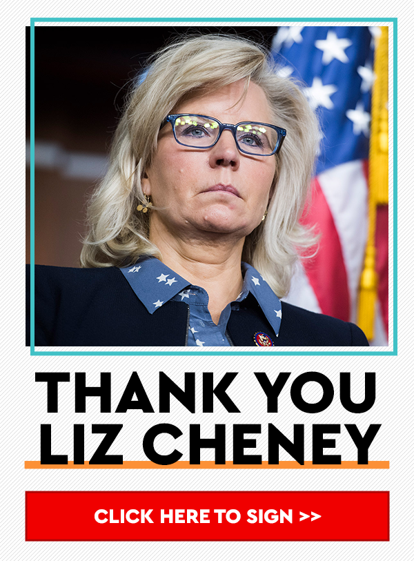 Thank you Liz Cheney
