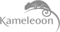 Kameleoon