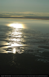 Colville River Delta in the National Petroleum Reserve-Alaska