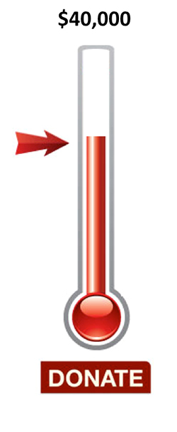 Donate Thermometer