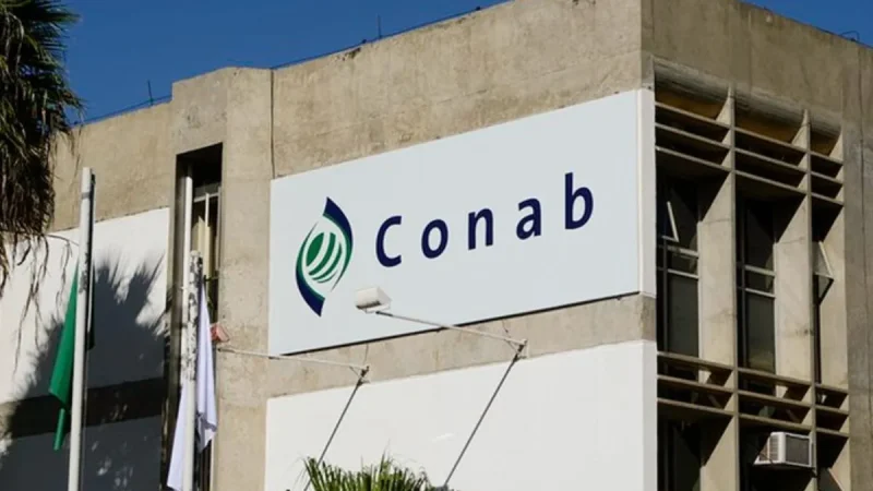 Conab publica edital com 403 vagas para níveis superior e médio